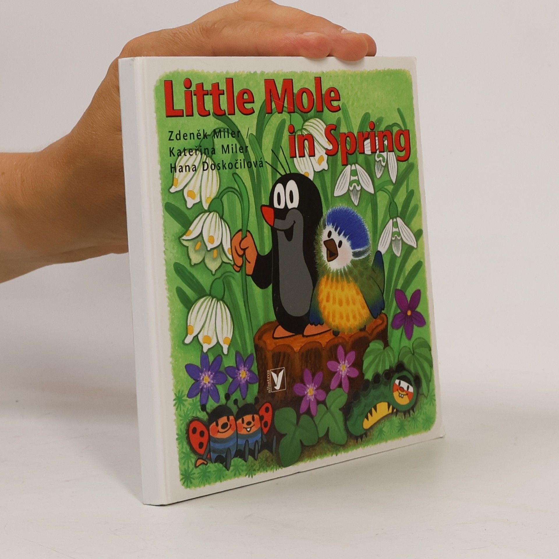 Little mole in spring