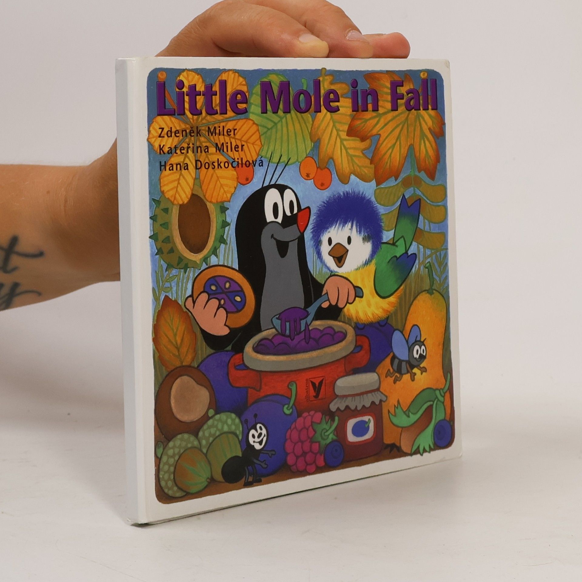 Autorenkollektiv Little mole in fall