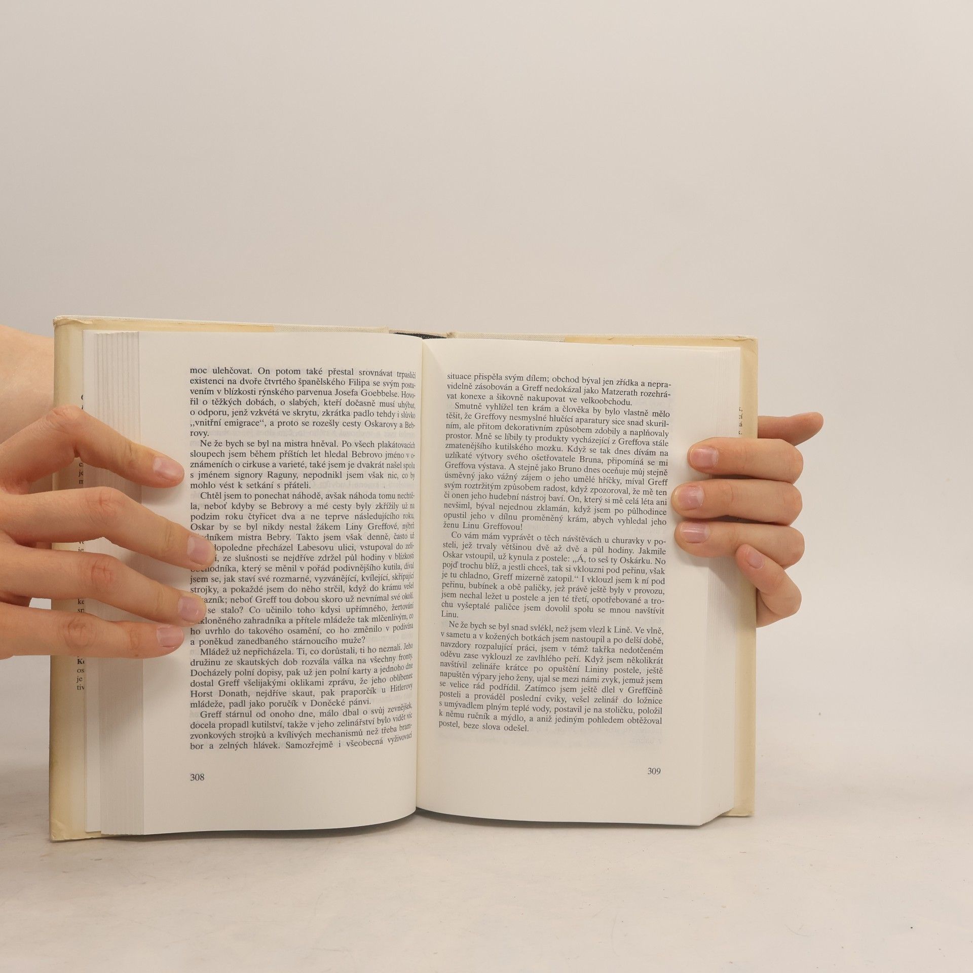 Günter Grass Plechový bubínek / Kočka a myš