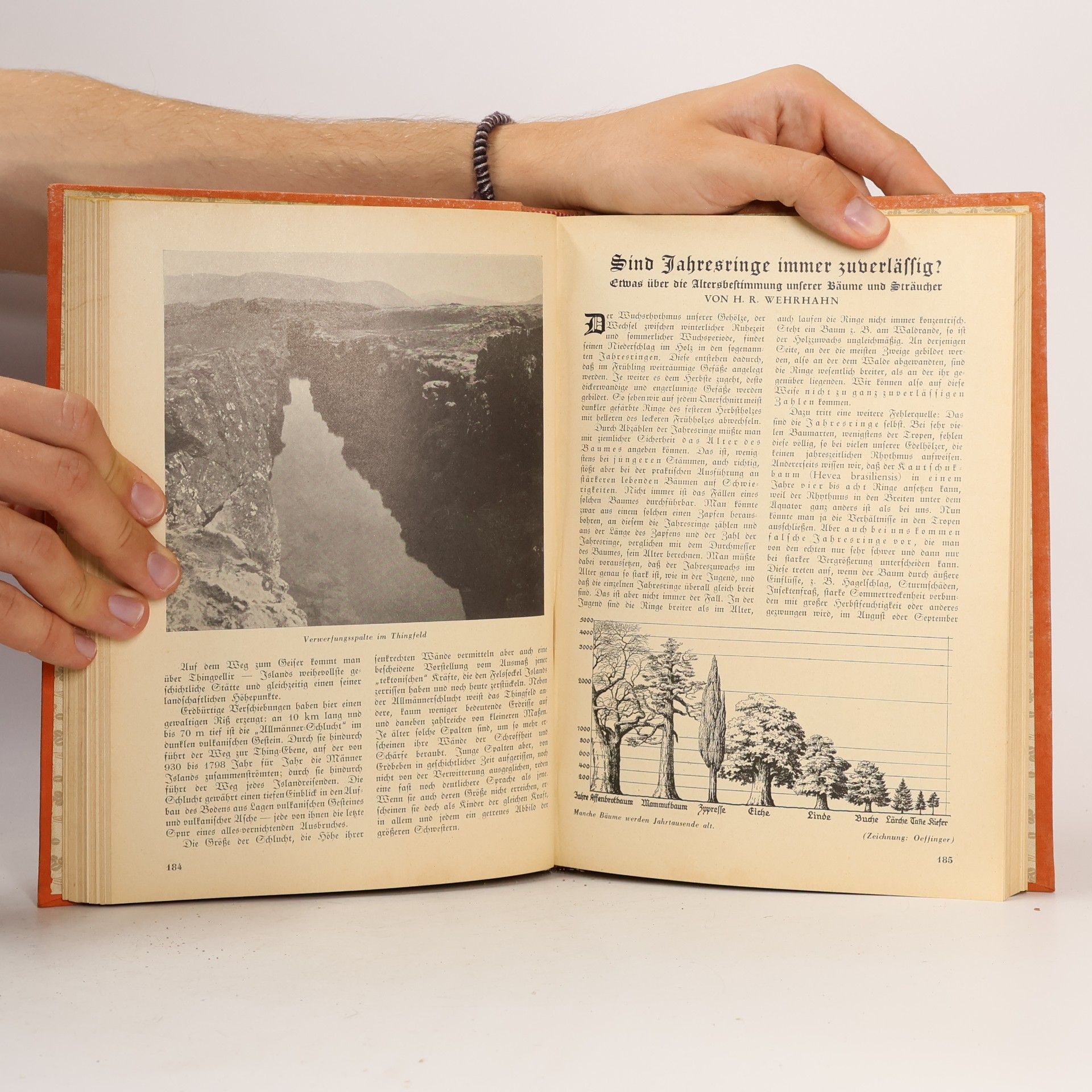 Autorenkollektiv Kosmos 1939