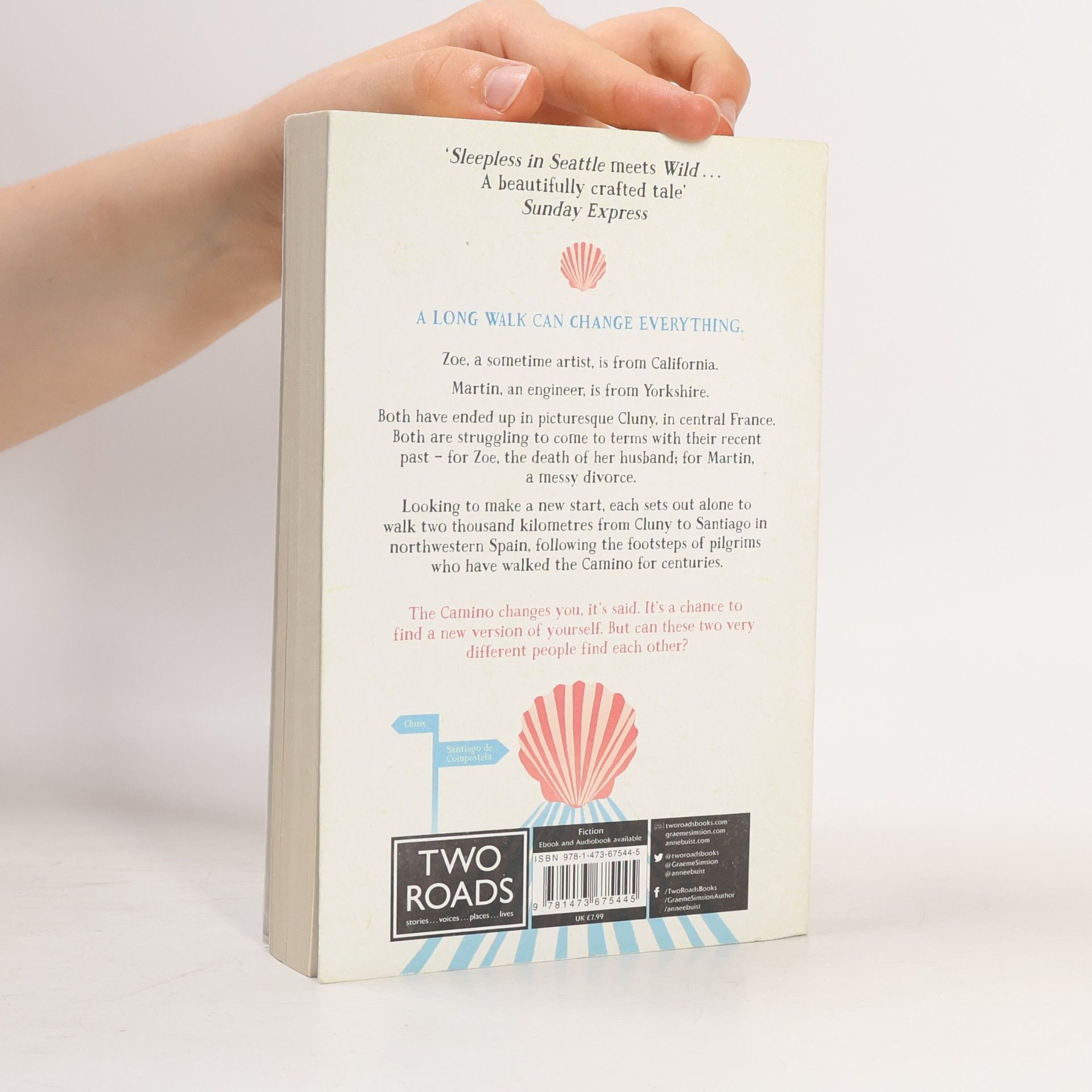 Graeme Simsion Two Steps Forward