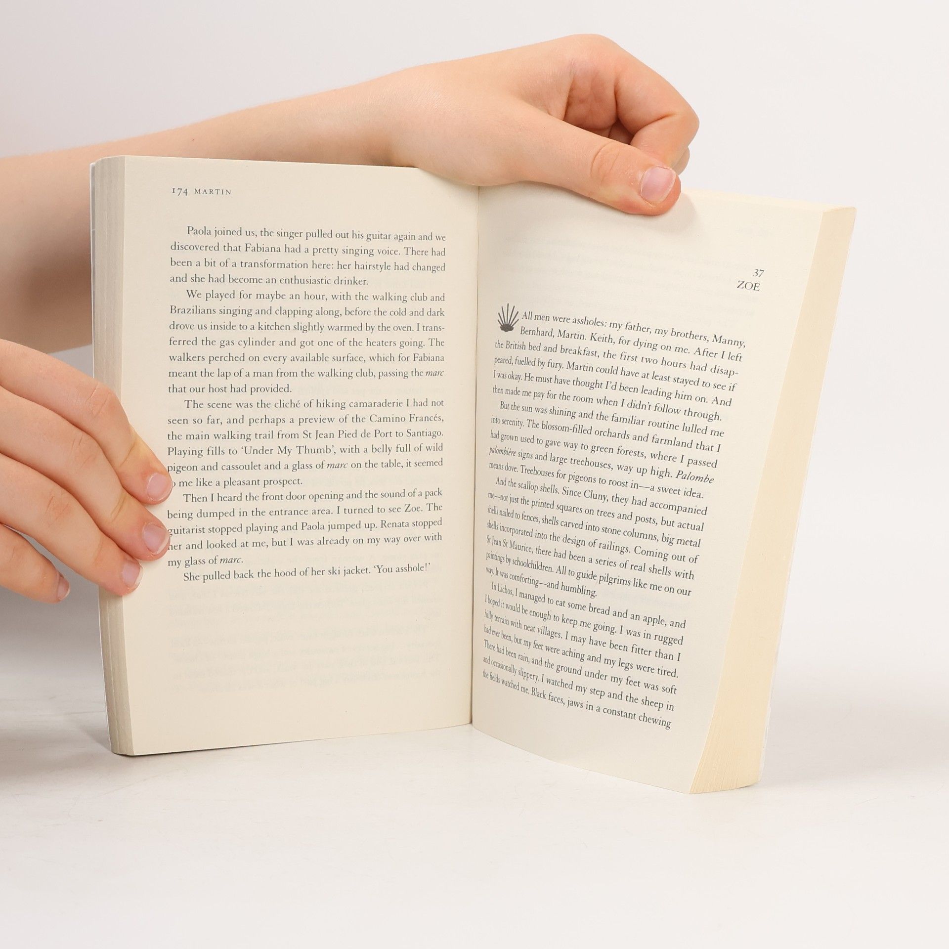 Graeme Simsion Two Steps Forward