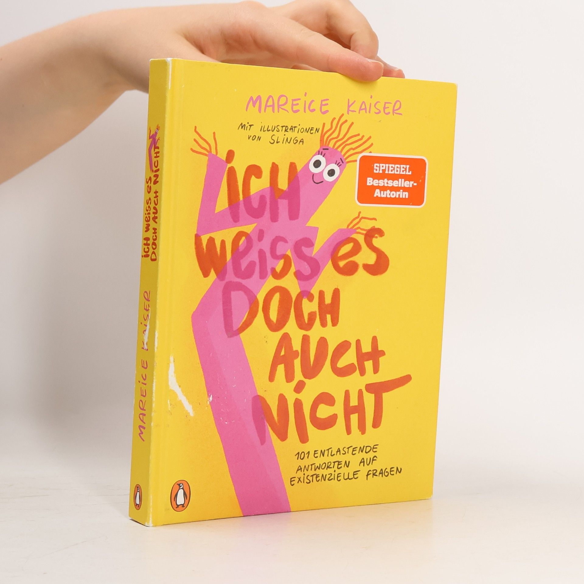 Mareice Kaiser Ich weiss es doch auch nicht