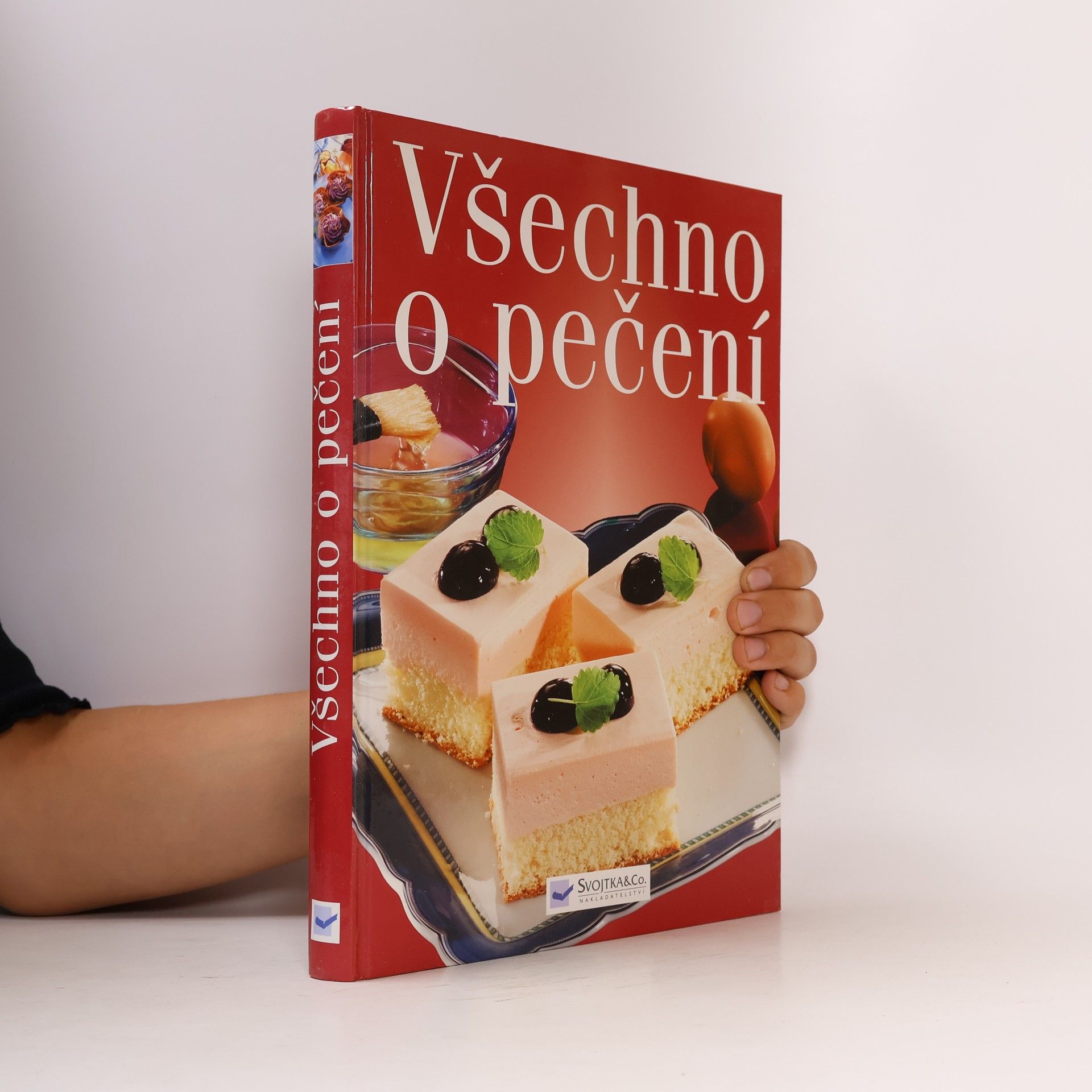 Autorenkollektiv Všechno o pečení