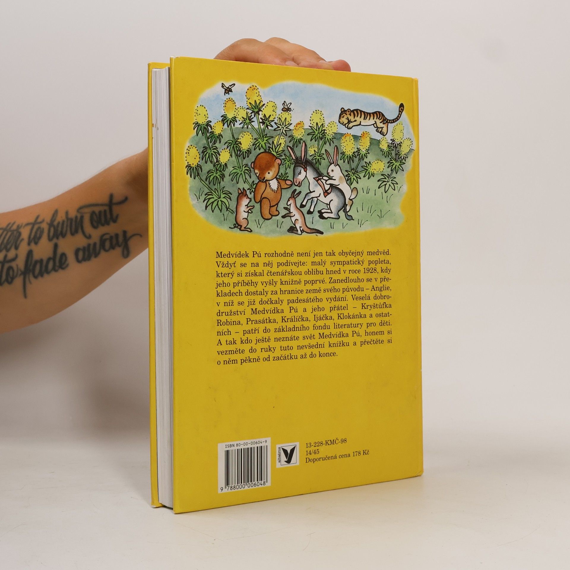 A. A. Milne Medvídek Pú