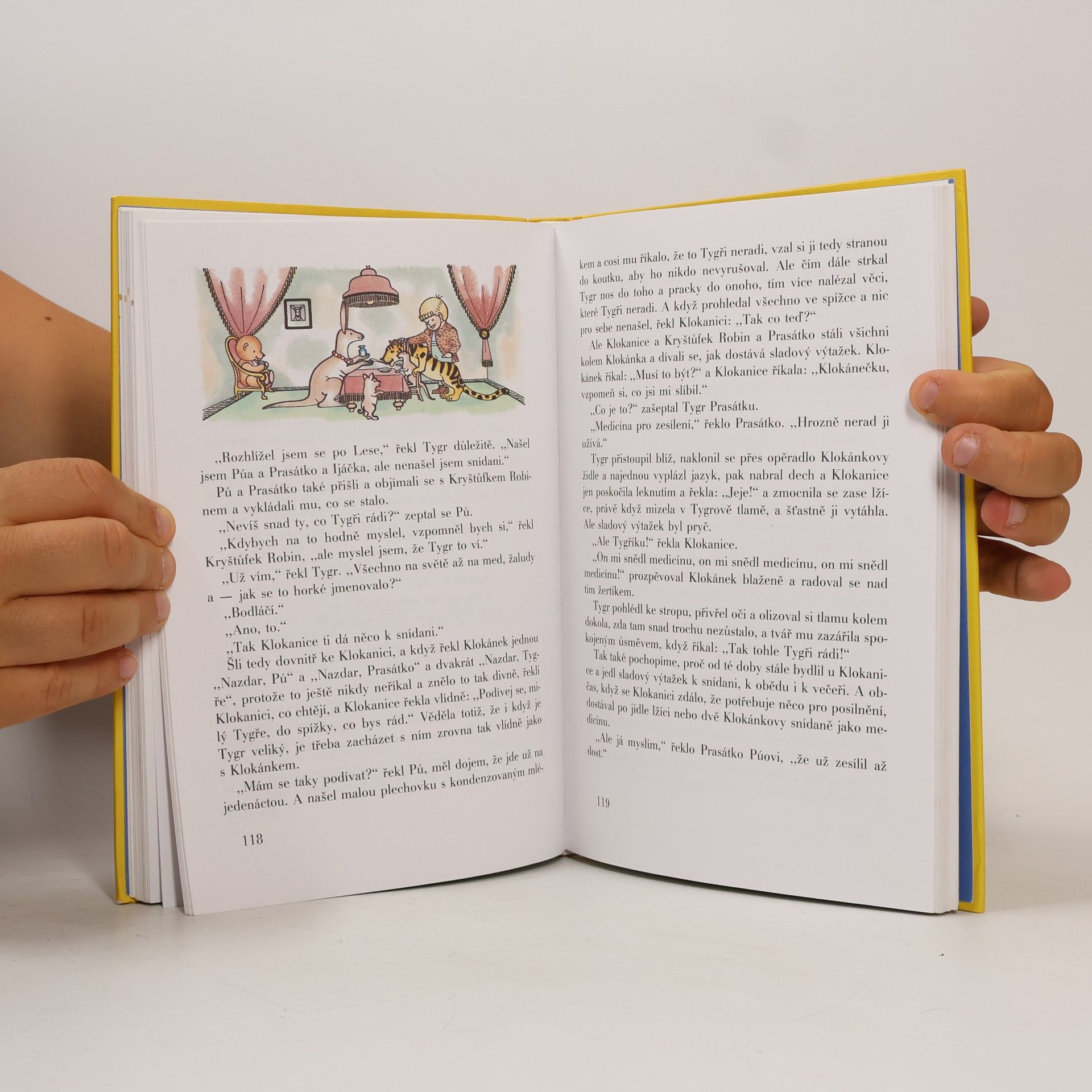 A. A. Milne Medvídek Pú
