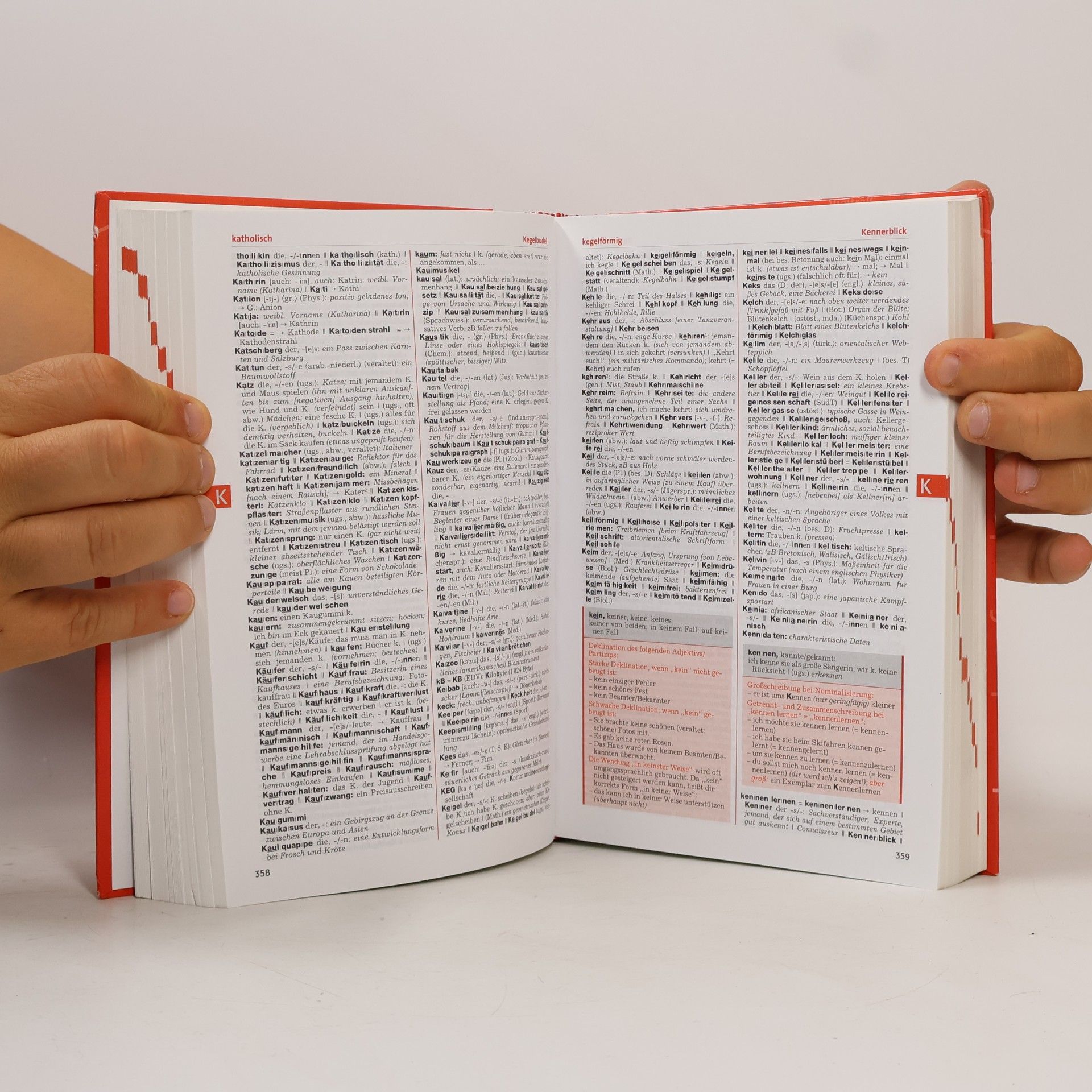 Silvia Bliem Österreichisches Wörterbuch