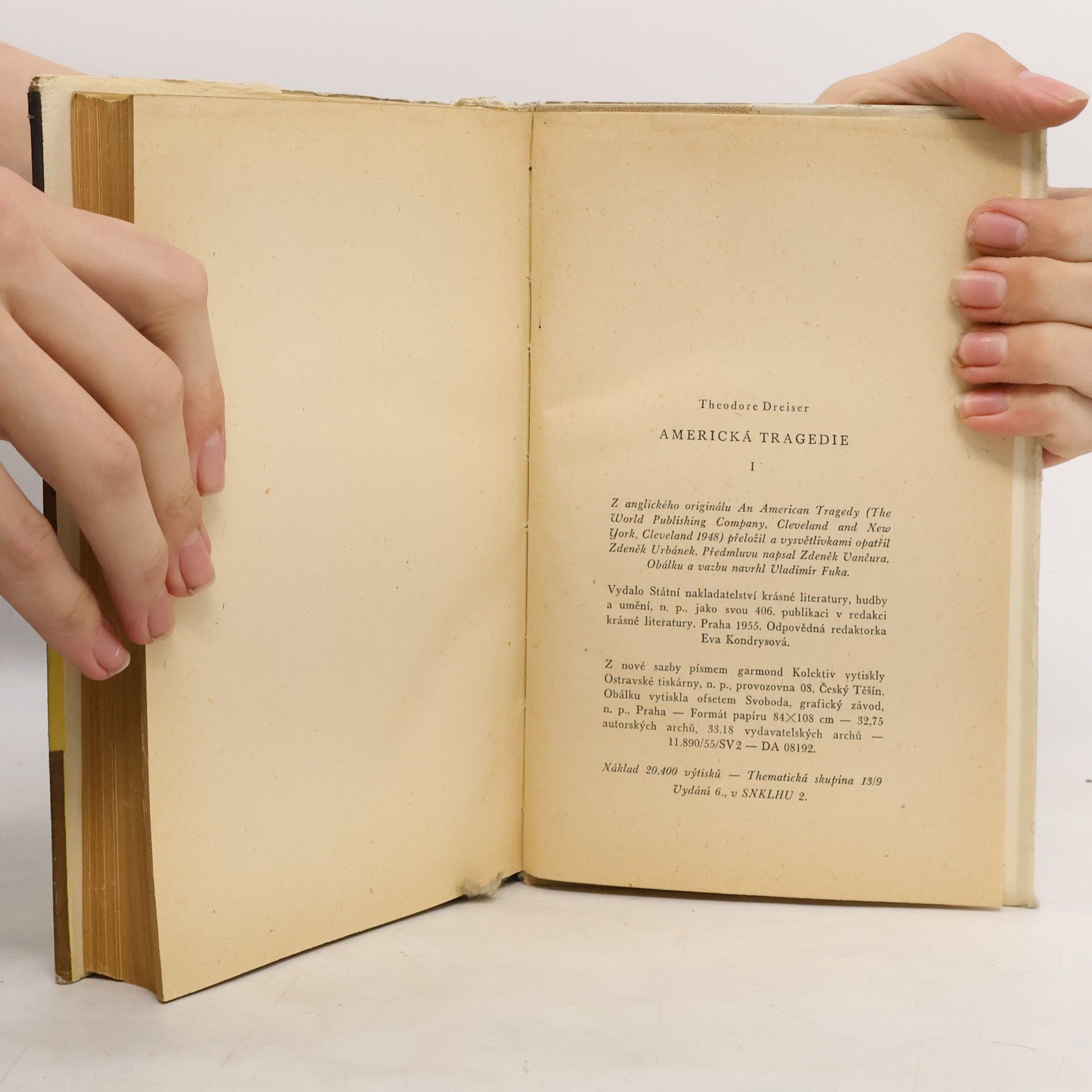 Theodore Dreiser Americká tragedie I