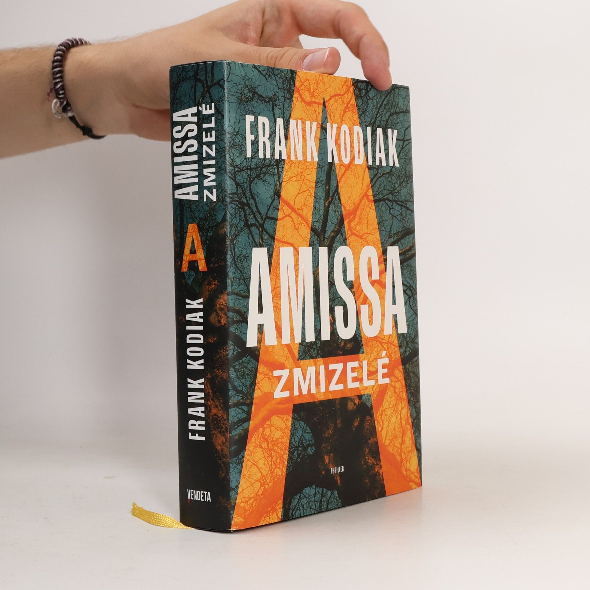 Hendrik Winter Amissa. Zmizelé