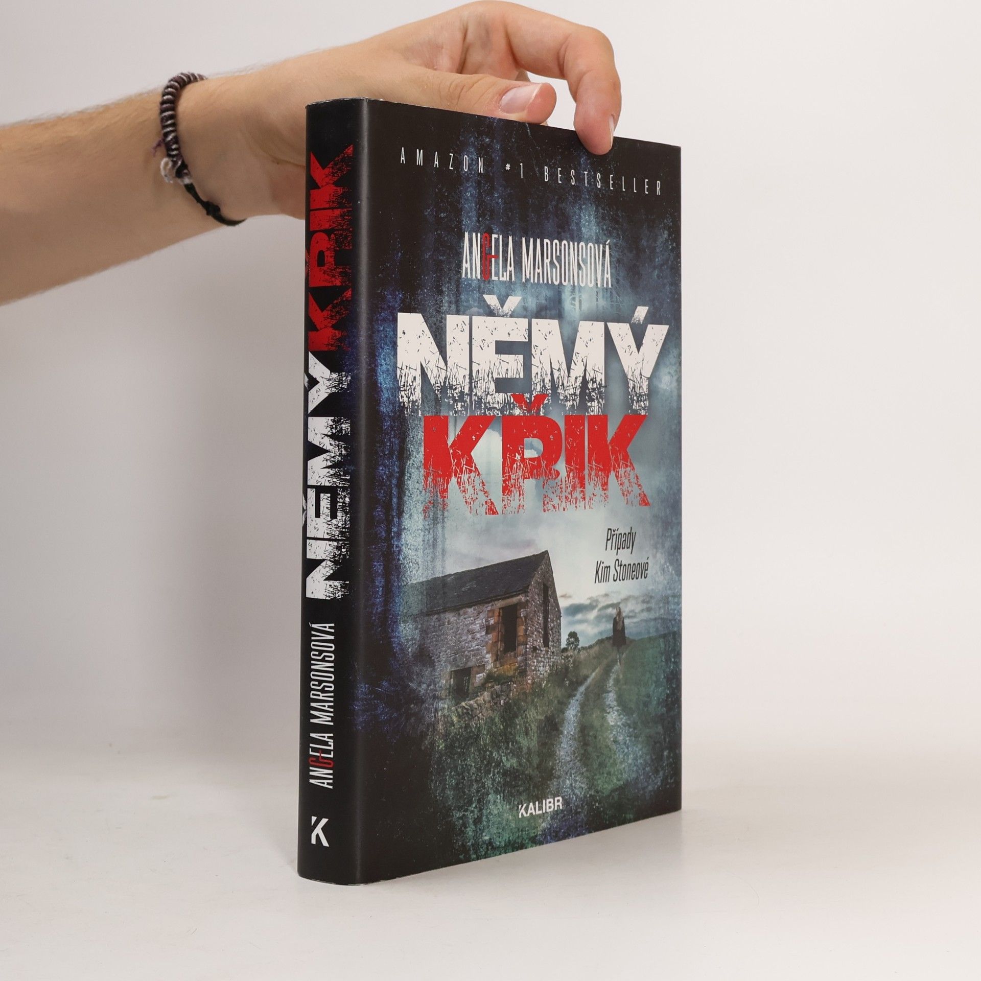 Angela Marsons Němý křik