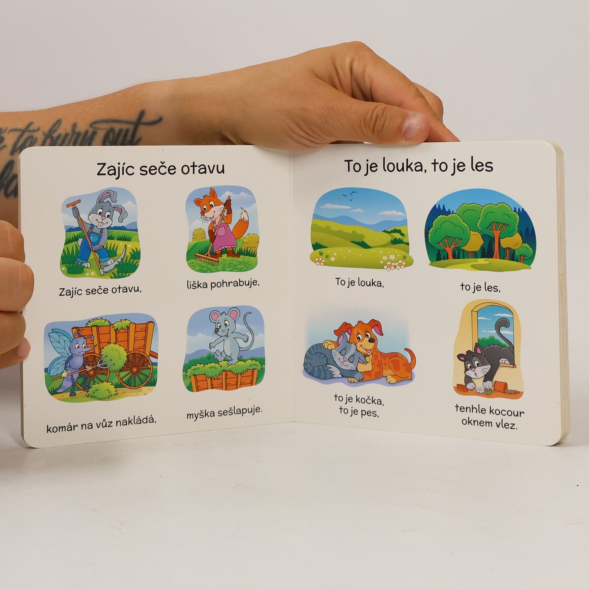 Klára Víšková Paci, paci, pacičky : lidové říkanky