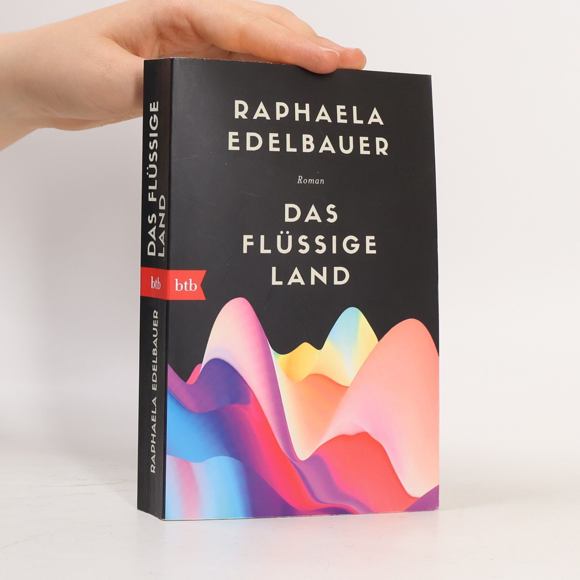 Raphaela Edelbauer Das flüssige Land