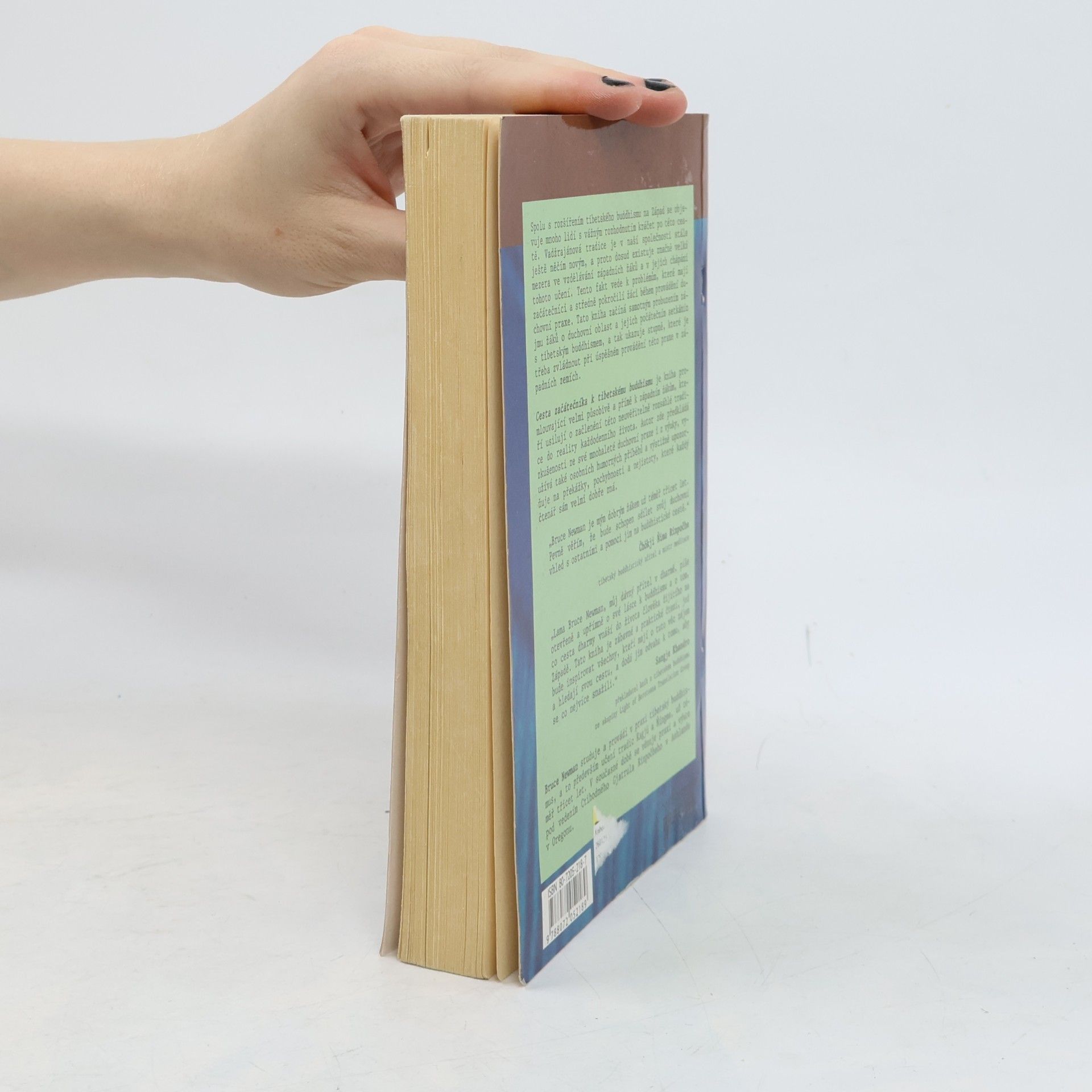 Josef Pecinovský Cesta začátečníka k tibetskému buddhismu. Zápisky z duchovní cesty