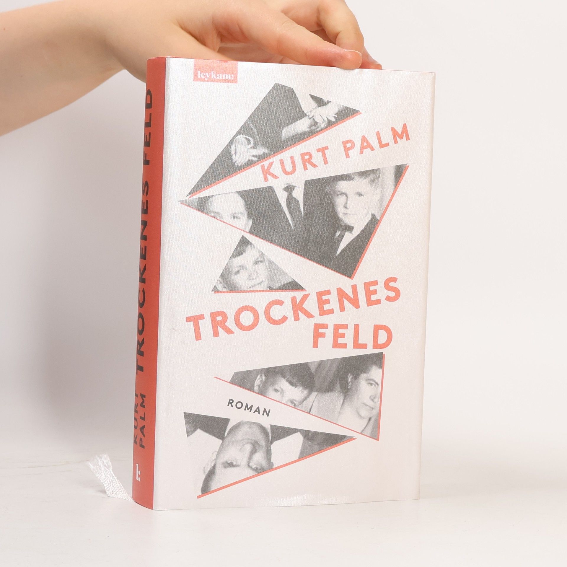 Kurt Palm Trockenes Feld. Roman