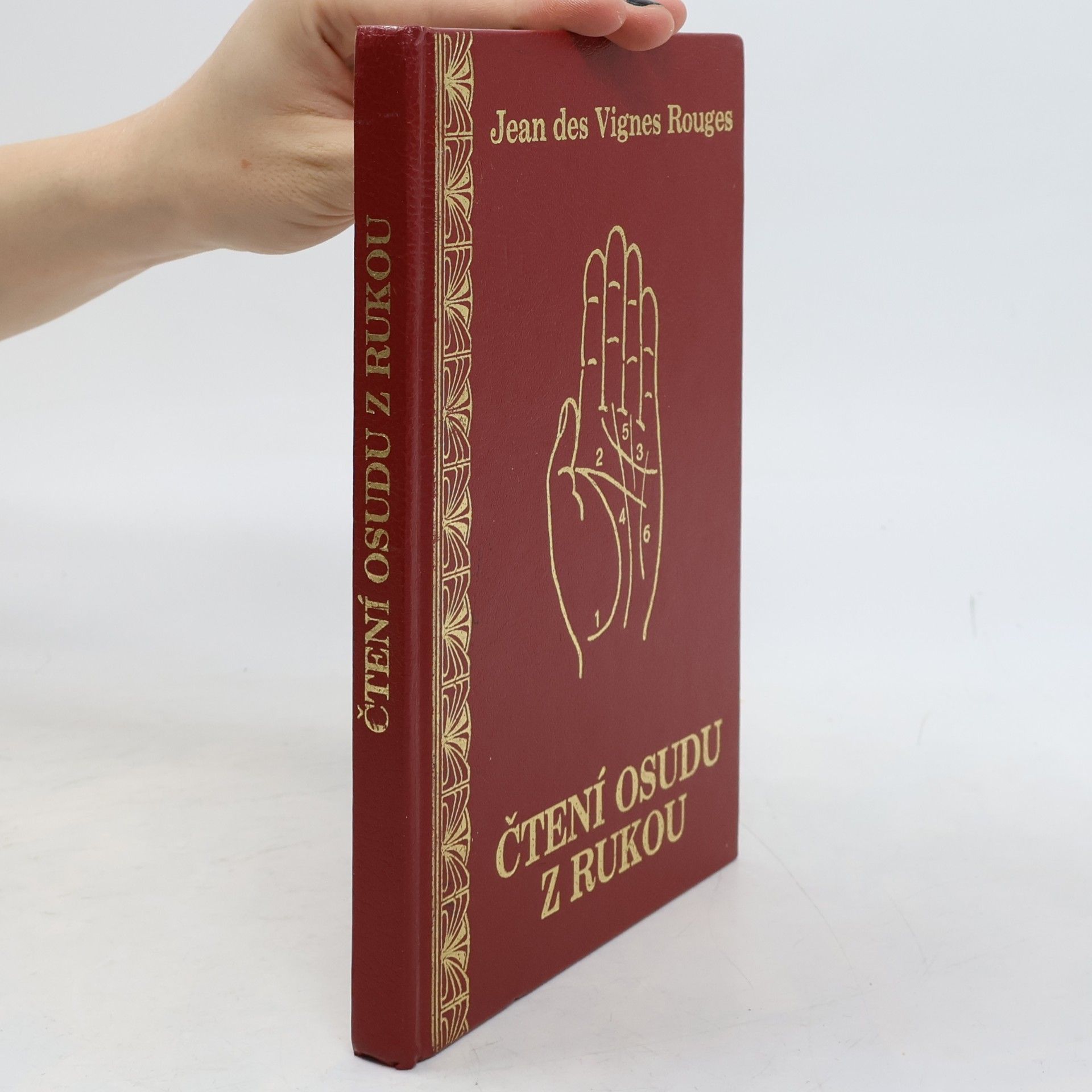 Čtení osudu z rukou : s 83 vyobrazeními