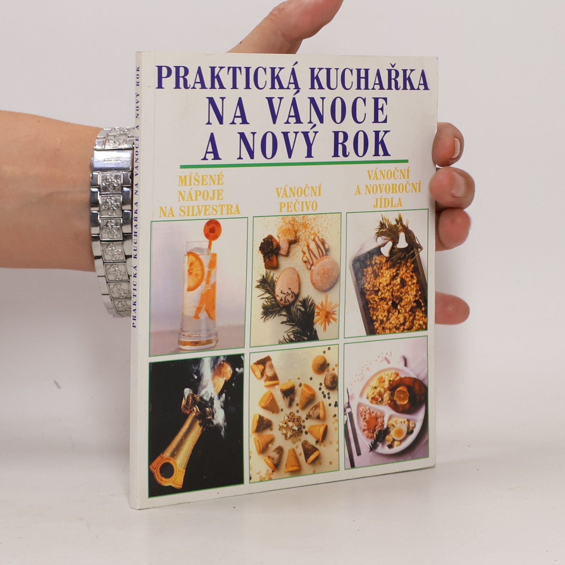 Ludvík Bláha Praktická kuchařka na Vánoce a nový rok
