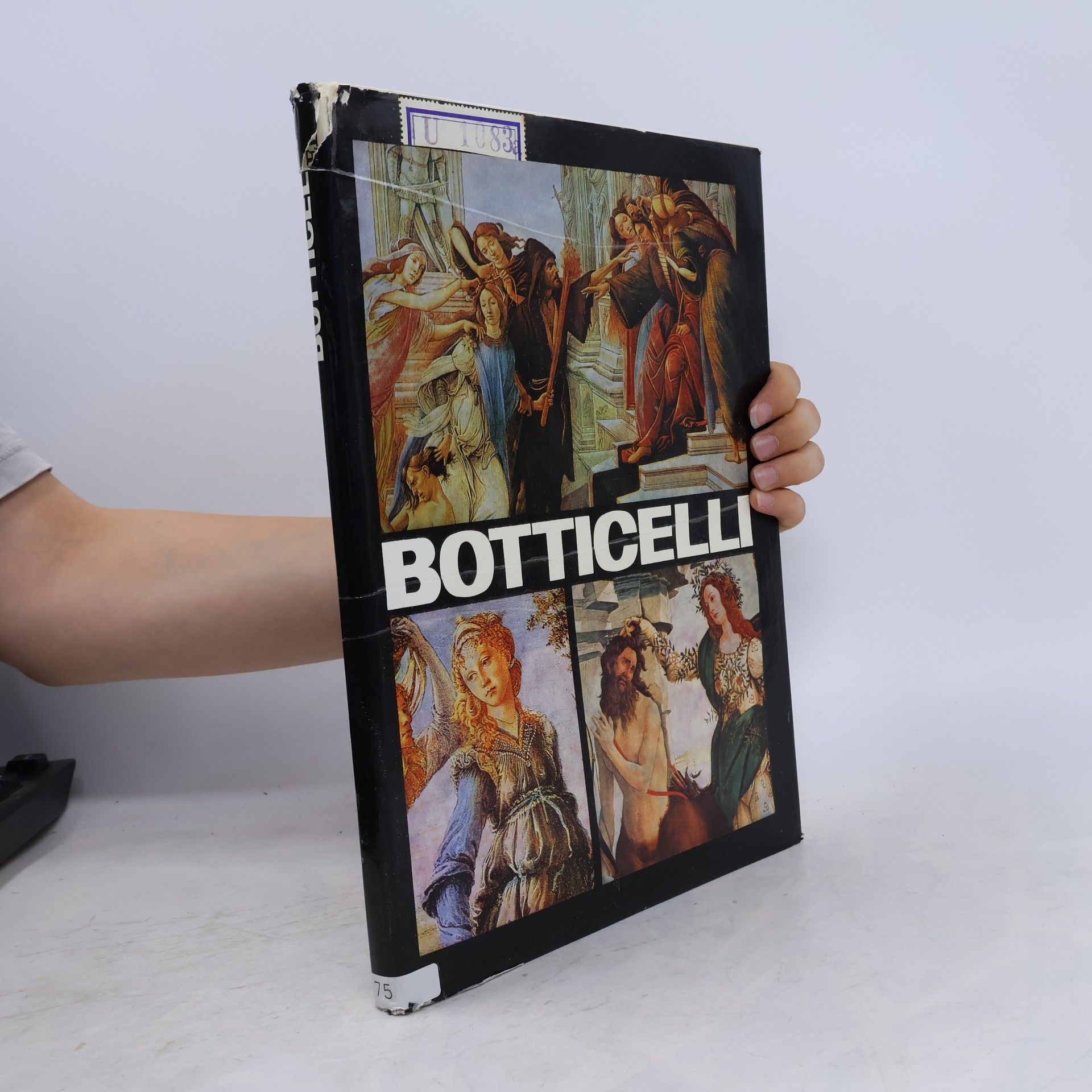 A.E. Baconsky Botticelli