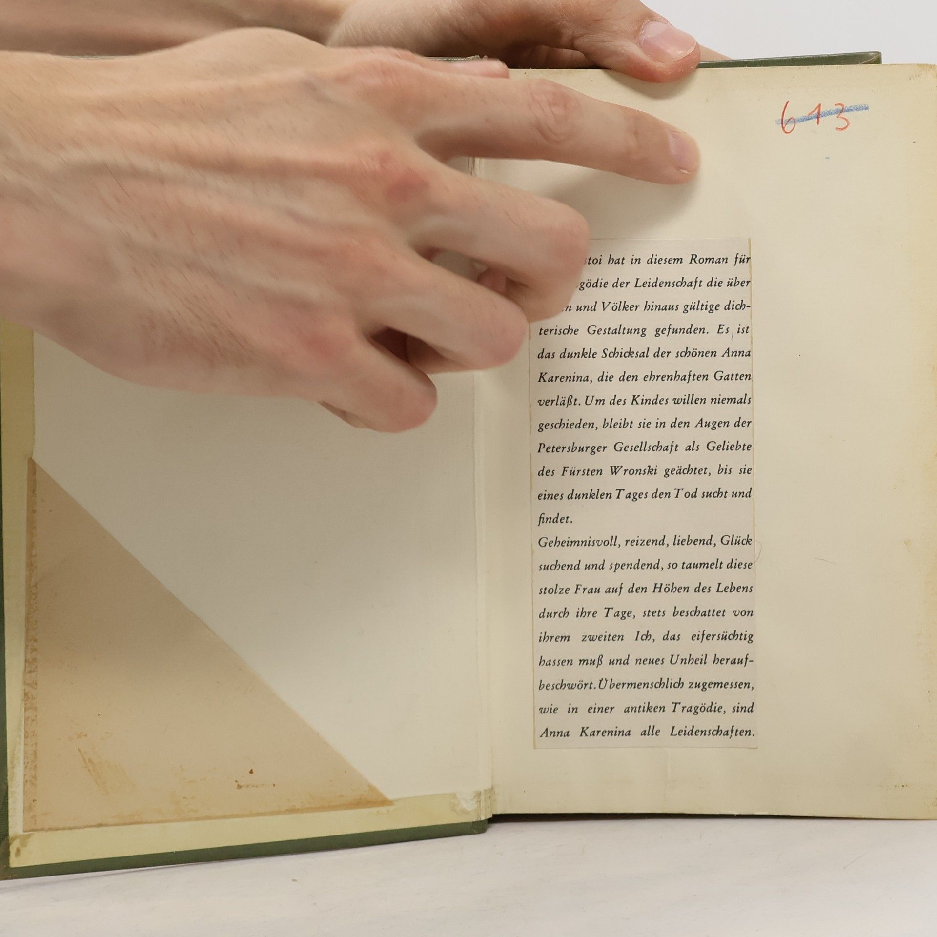 Lew Nikolajewitsch Tolstoi Anna Karenina