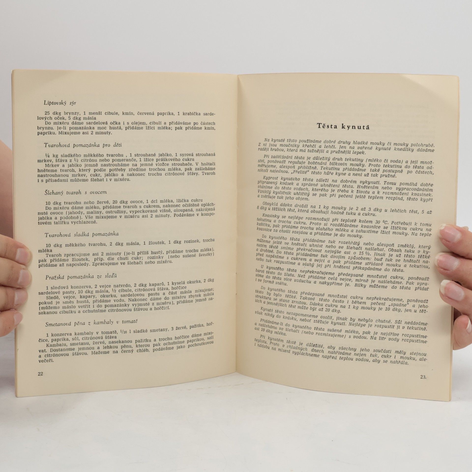 Autores varios Receptář kuchyňských robotů