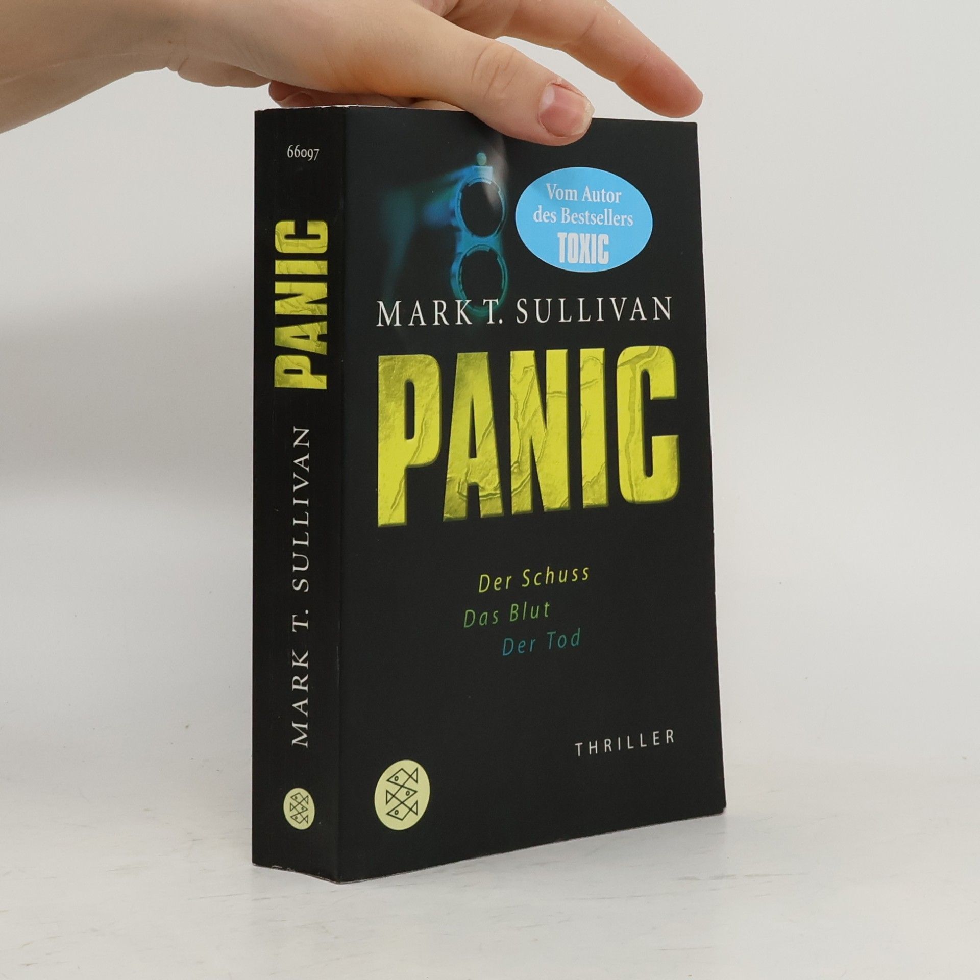 Mark T. Sullivan Panic