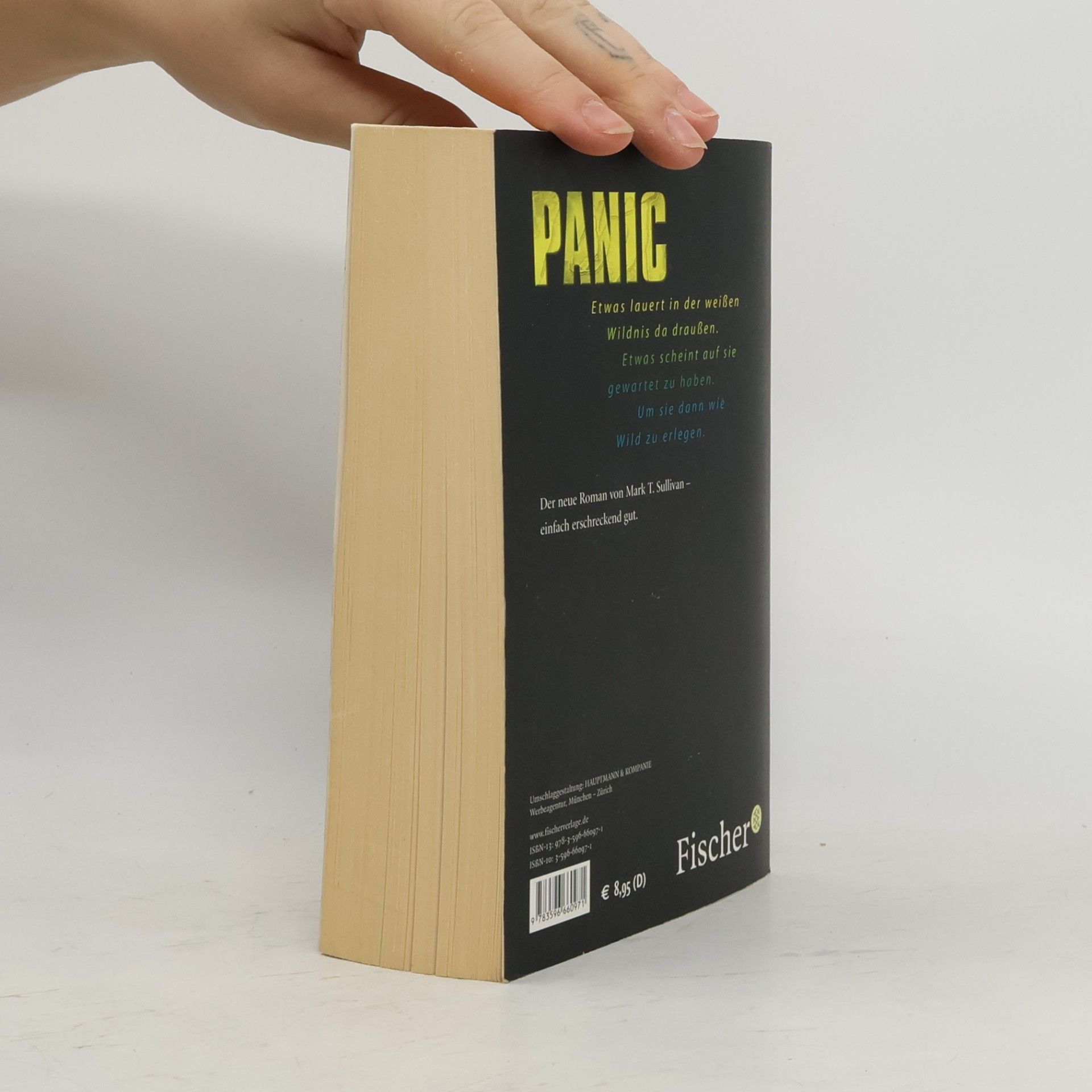 Mark T. Sullivan Panic