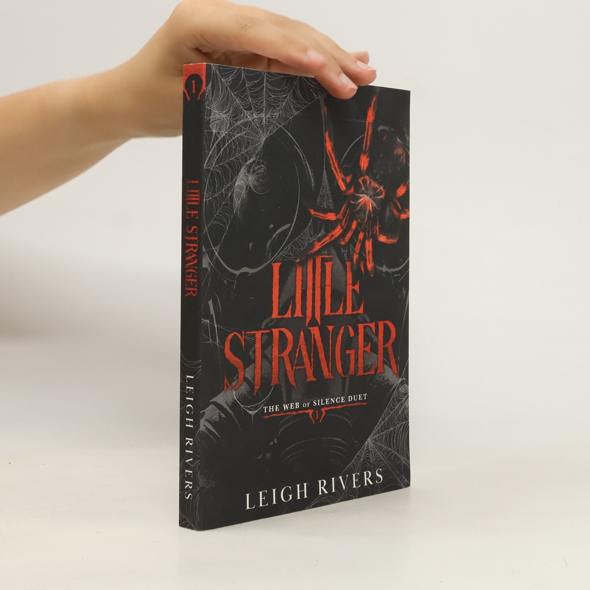Leigh Rivers Little Stranger