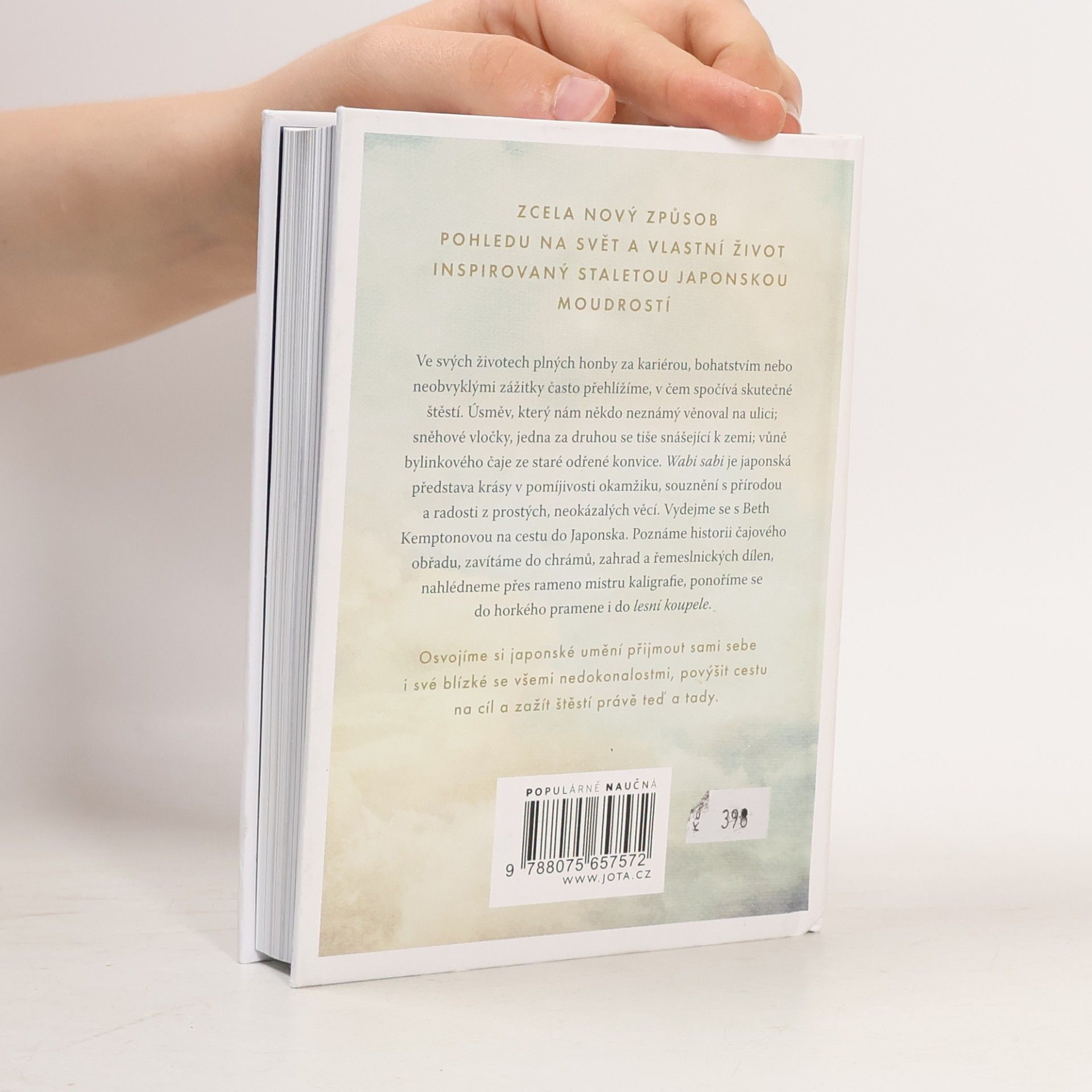 Beth Kempton Wabi sabi : Japonská moudrost pro dokonale nedokonalý život