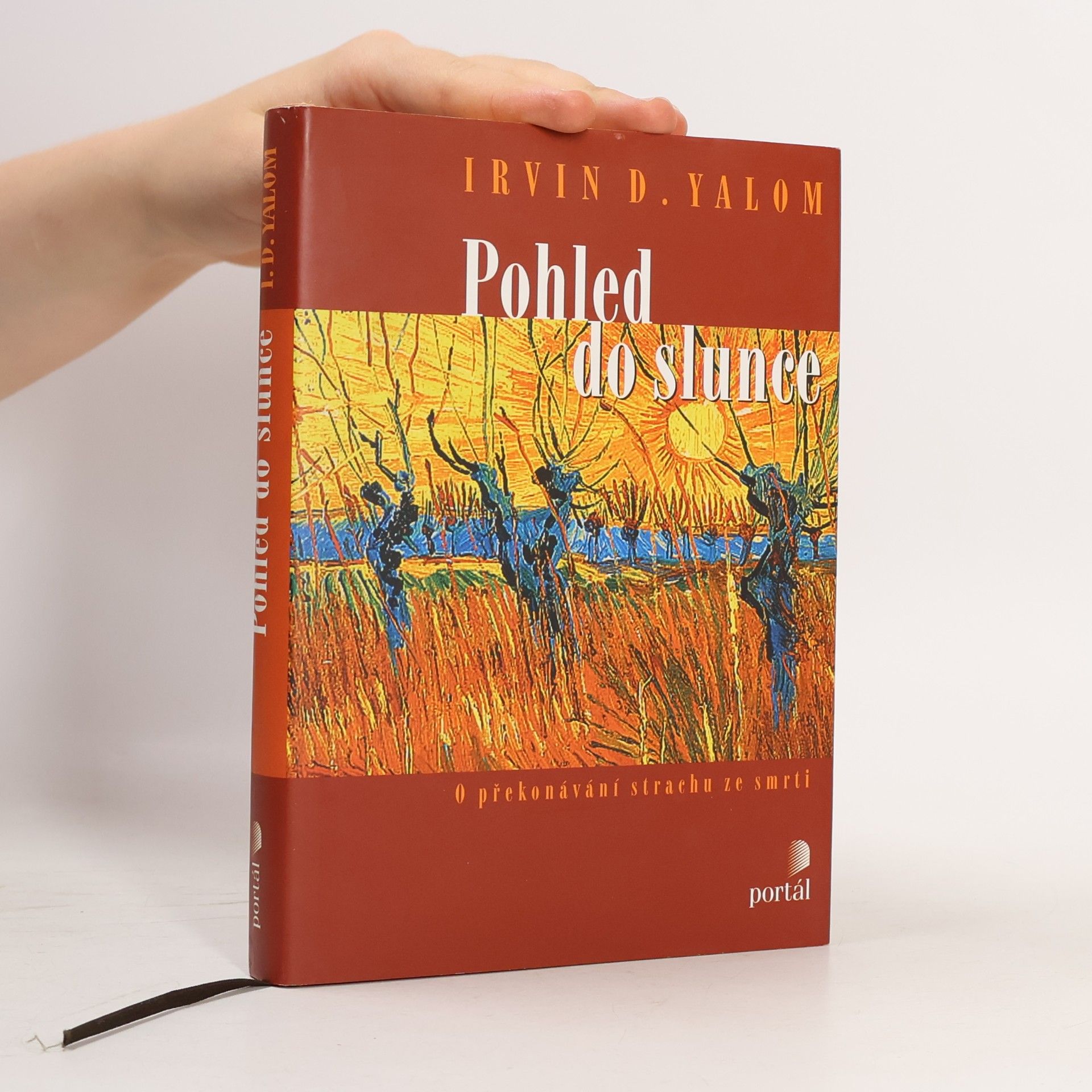Irvin Yalom Pohled do slunce