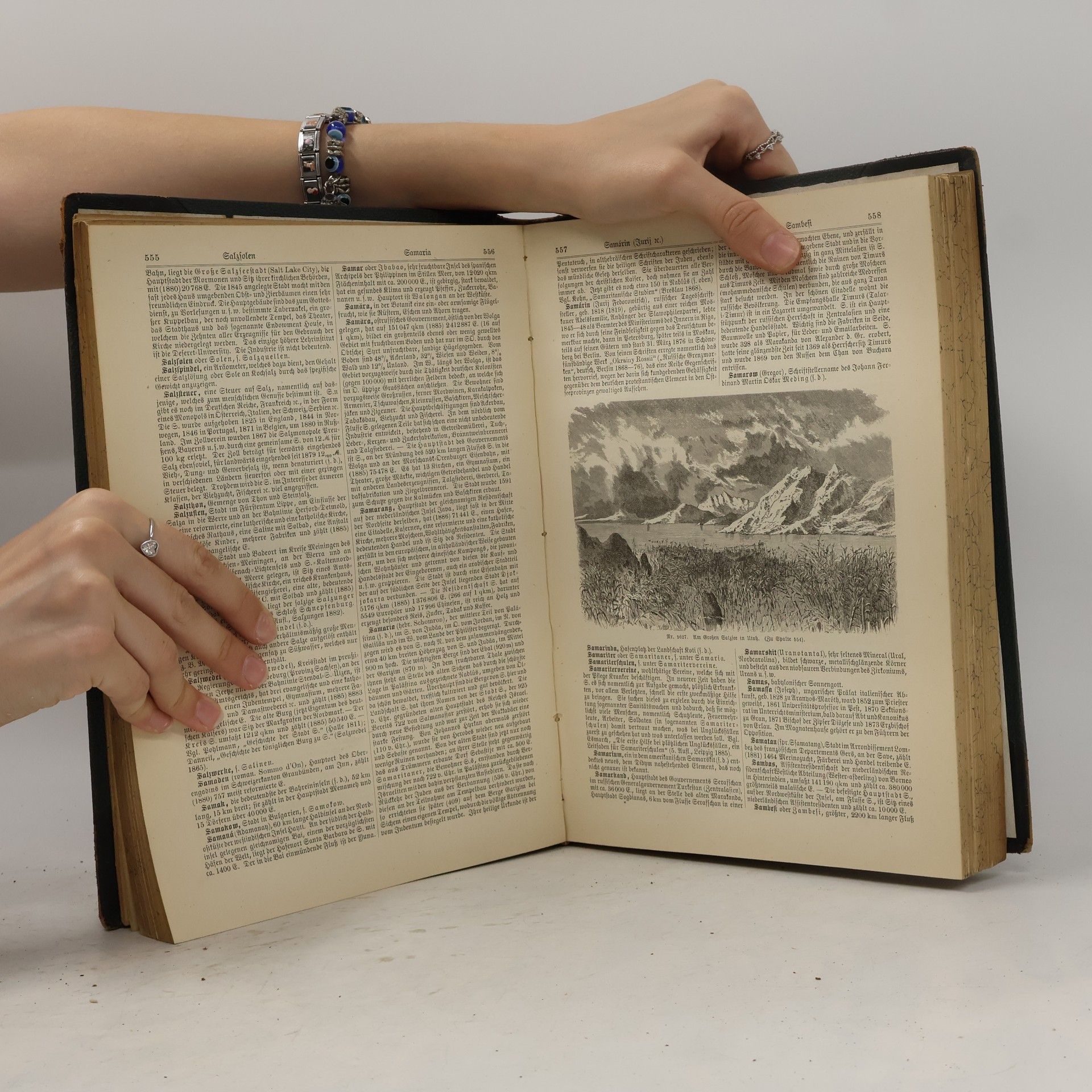 Various authors Illustrirtes Konversations-Lexikon 7