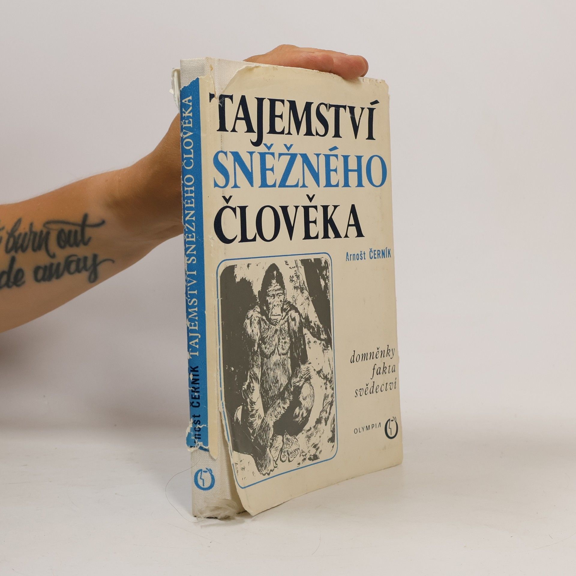 Arnošt Černík Tajemství sněžného člověka