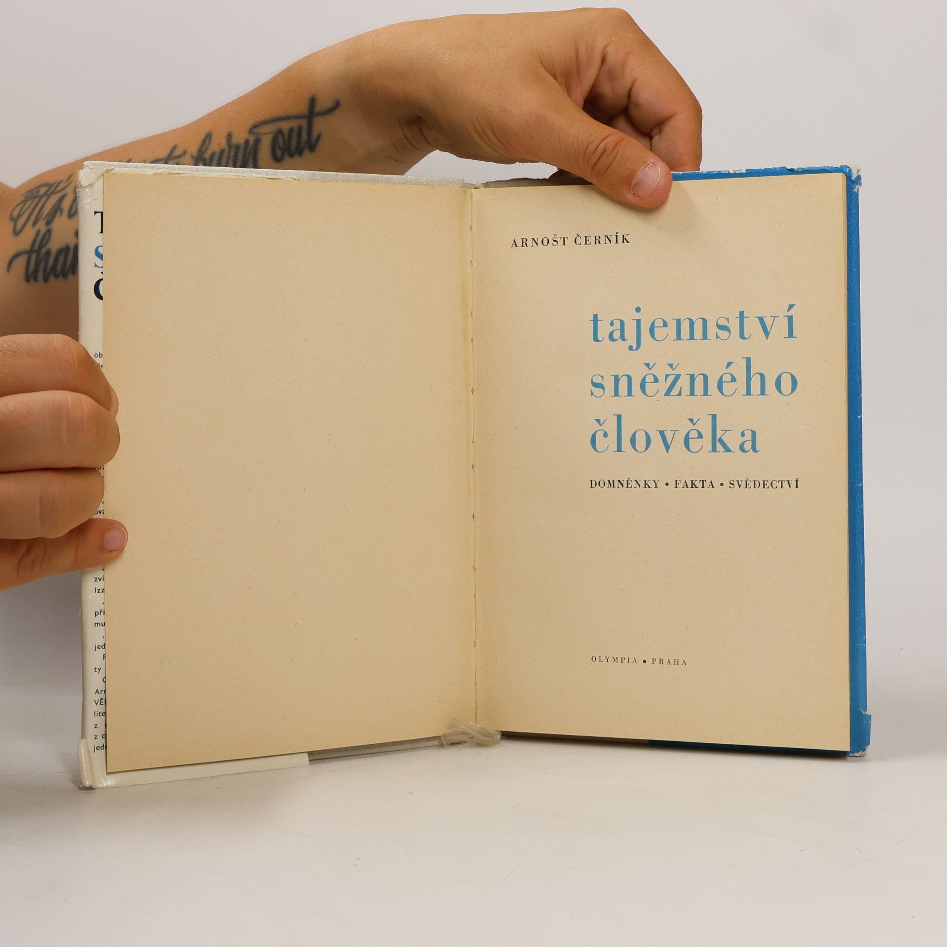 Arnošt Černík Tajemství sněžného člověka