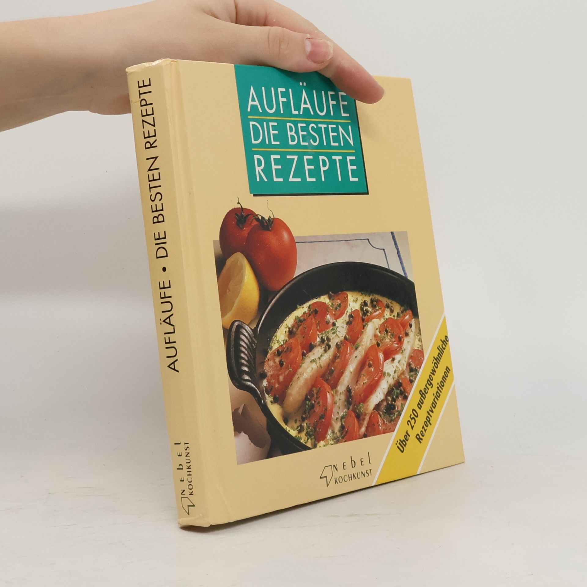 Kolektiv autorů Aufläufe