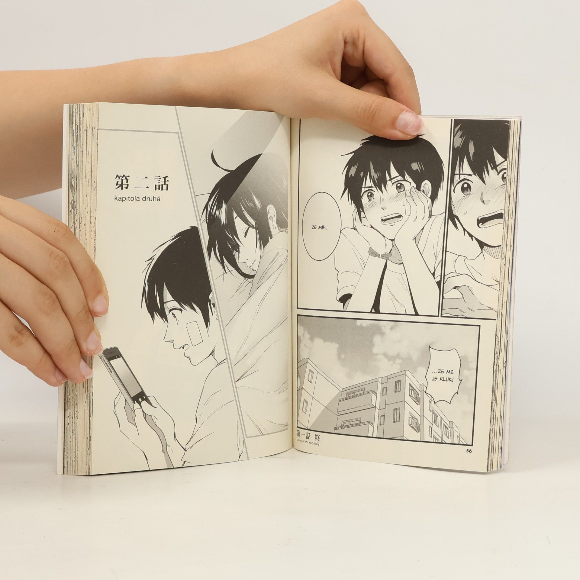 Makoto Šinkai To bylo tvé jméno 1
