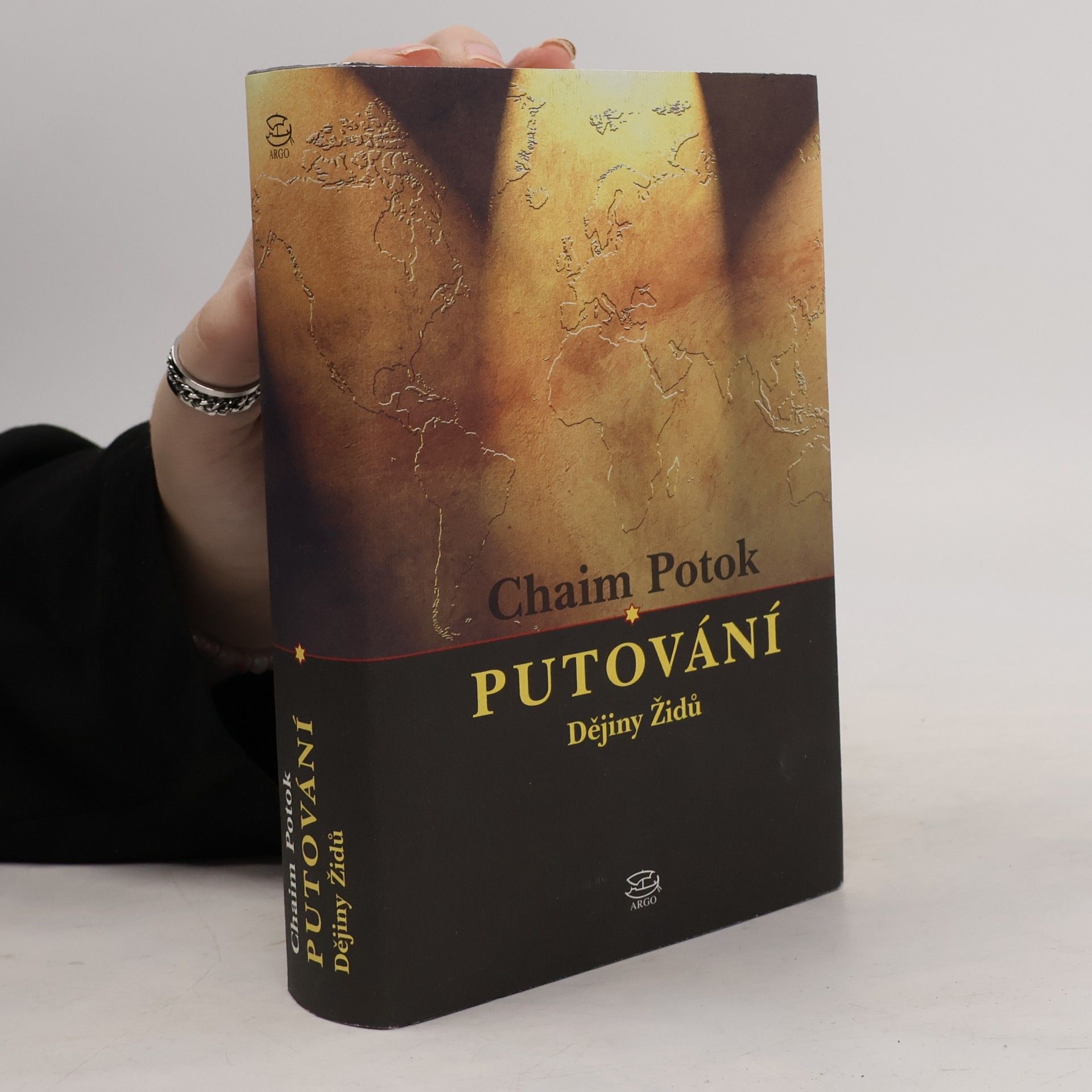 Chaim Potok Putování : dějiny Židů
