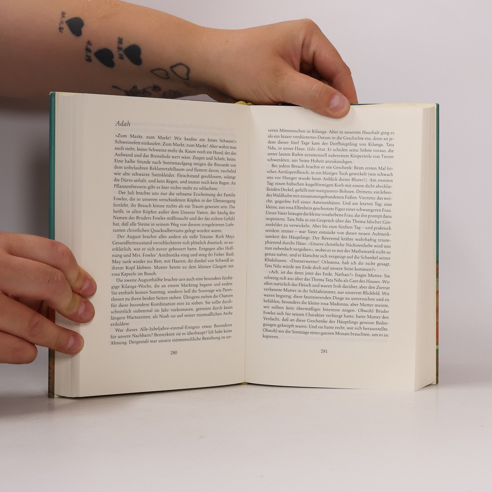 Barbara Kingsolver Die Giftholzbibel