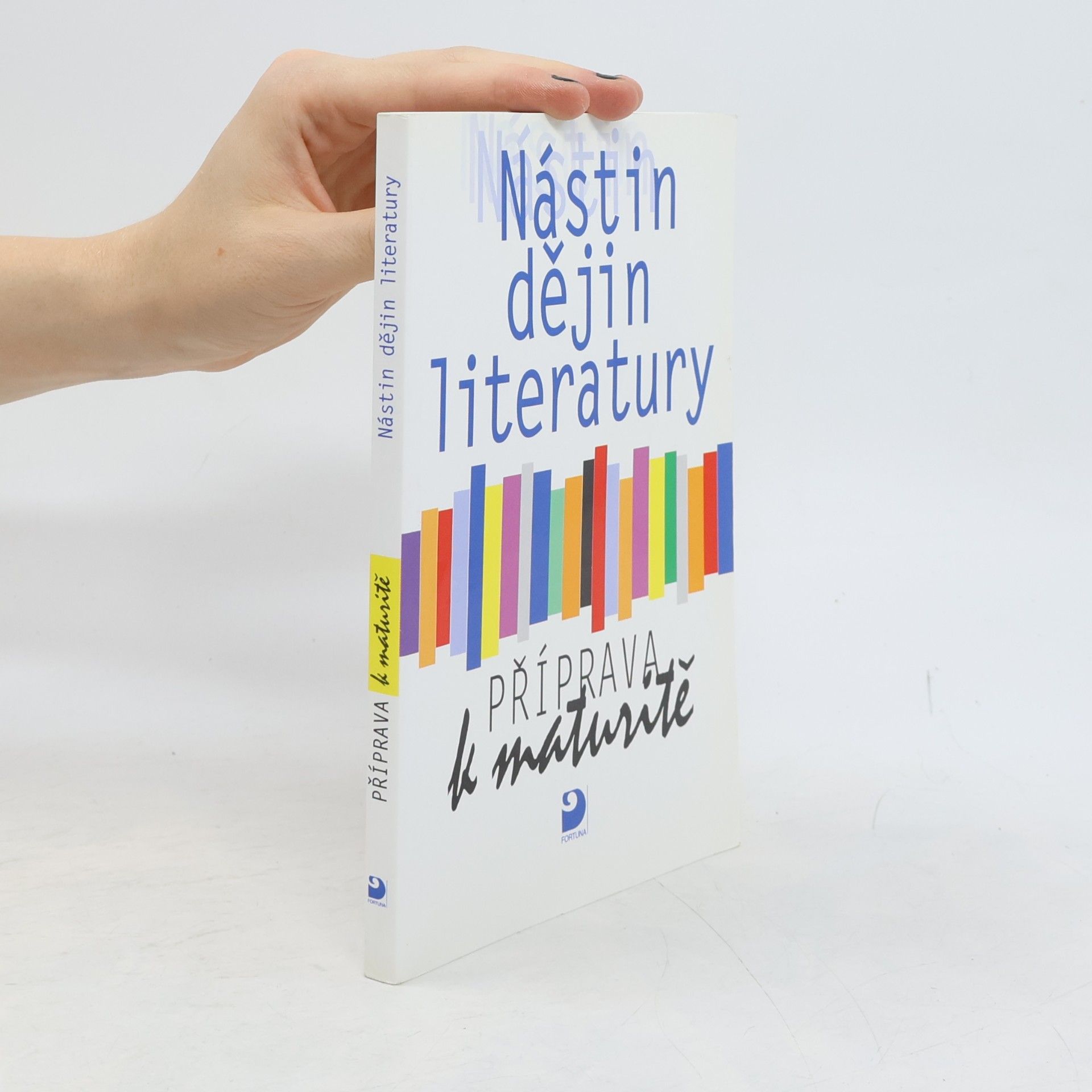 Nástin dějin literatury. Příprava k maturitě
