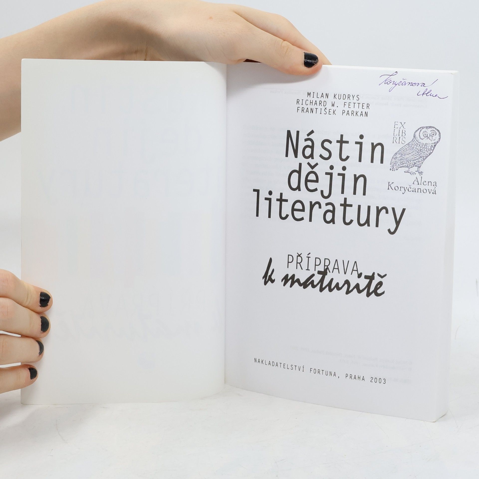 Milan Kudrys Nástin dějin literatury. Příprava k maturitě