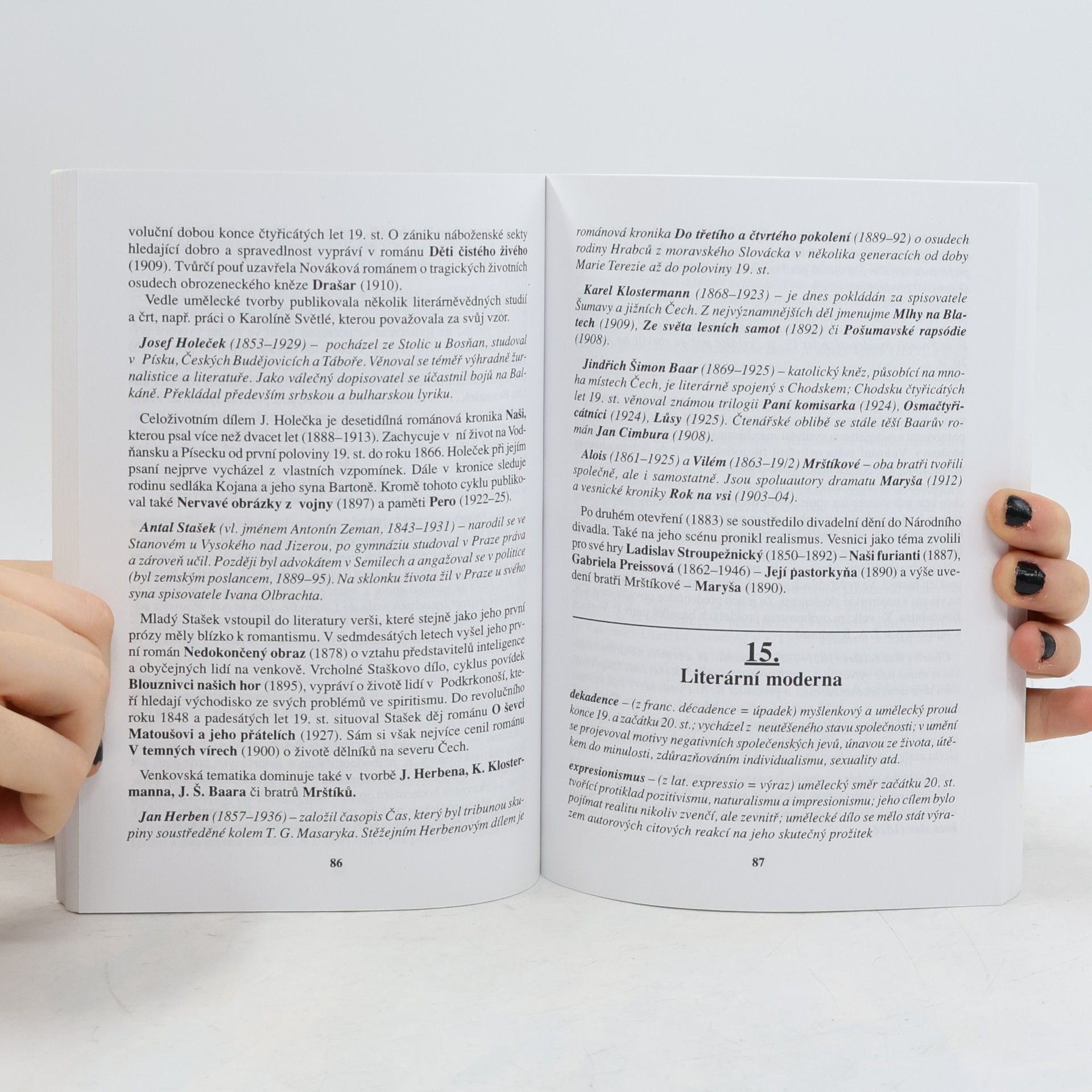 Milan Kudrys Nástin dějin literatury. Příprava k maturitě