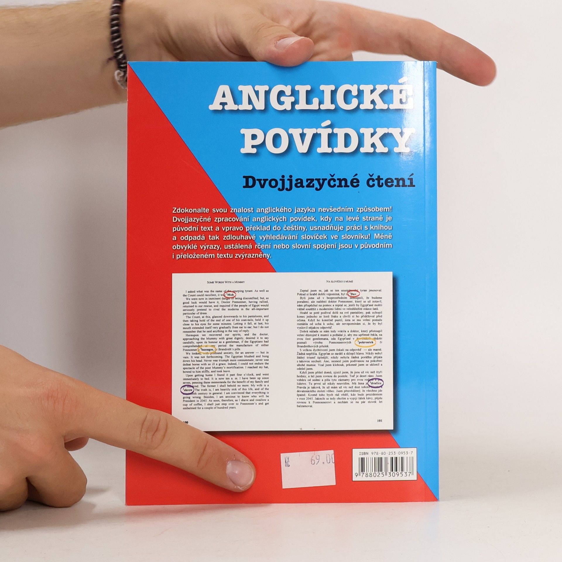 Edgar Allan Poe English Stories. Anglické povídky: Dvojjazyčné čtení