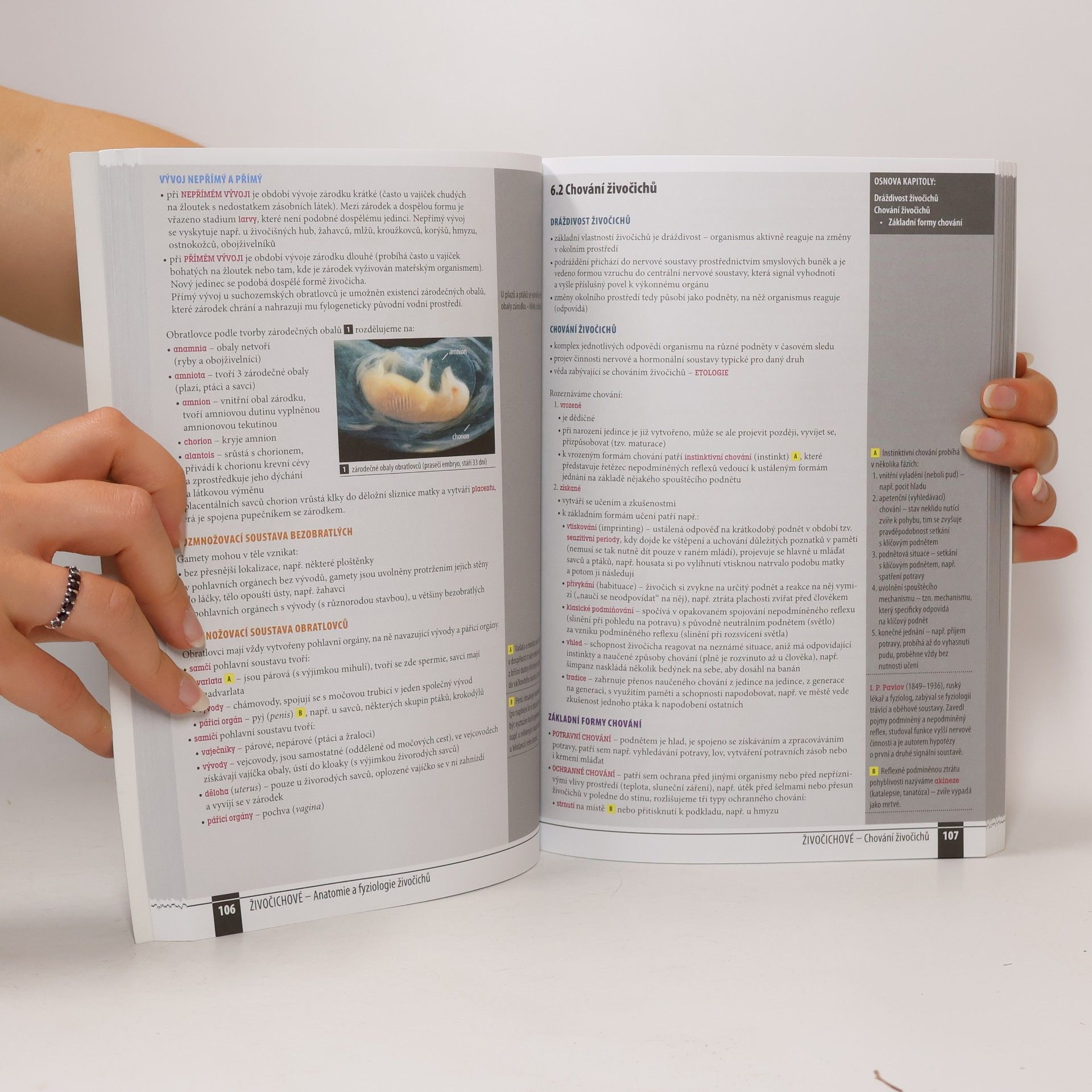 Autorenkollektiv Odmaturuj! z biologie