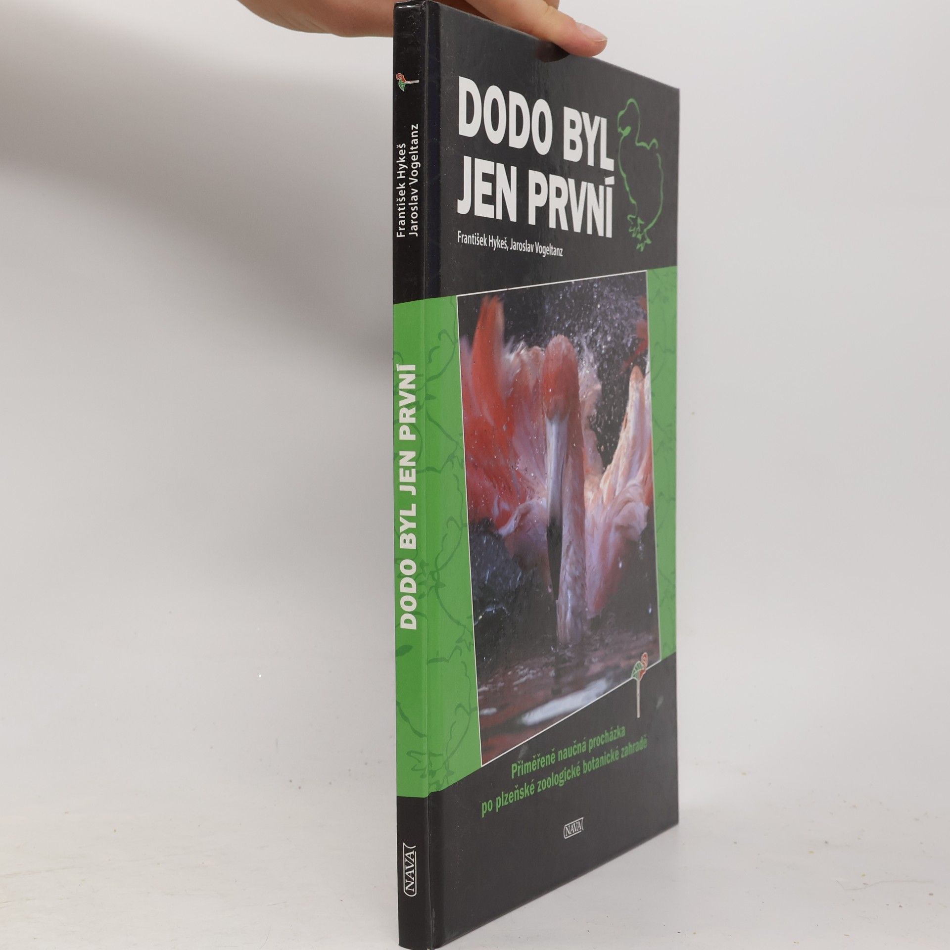 František Hykeš Dodo byl jen první