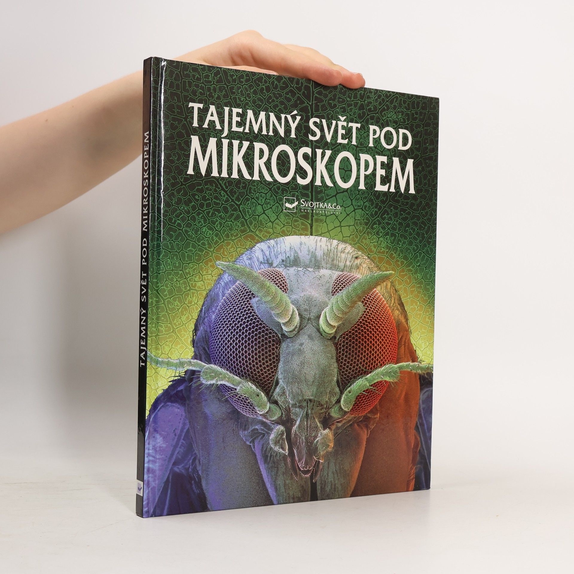 Kirsteen Rogers Tajemný svět pod mikroskopem