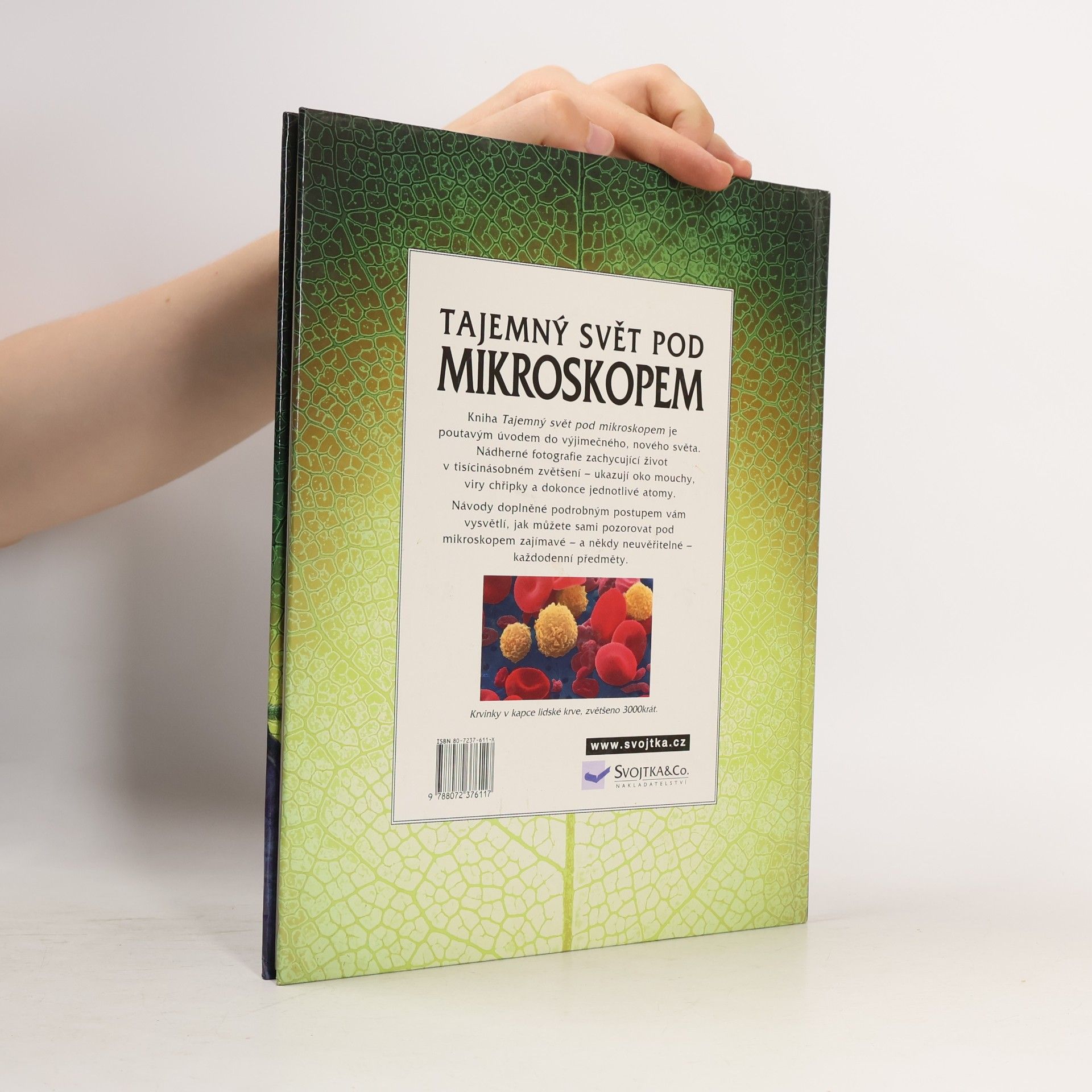 Kirsteen Rogers Tajemný svět pod mikroskopem
