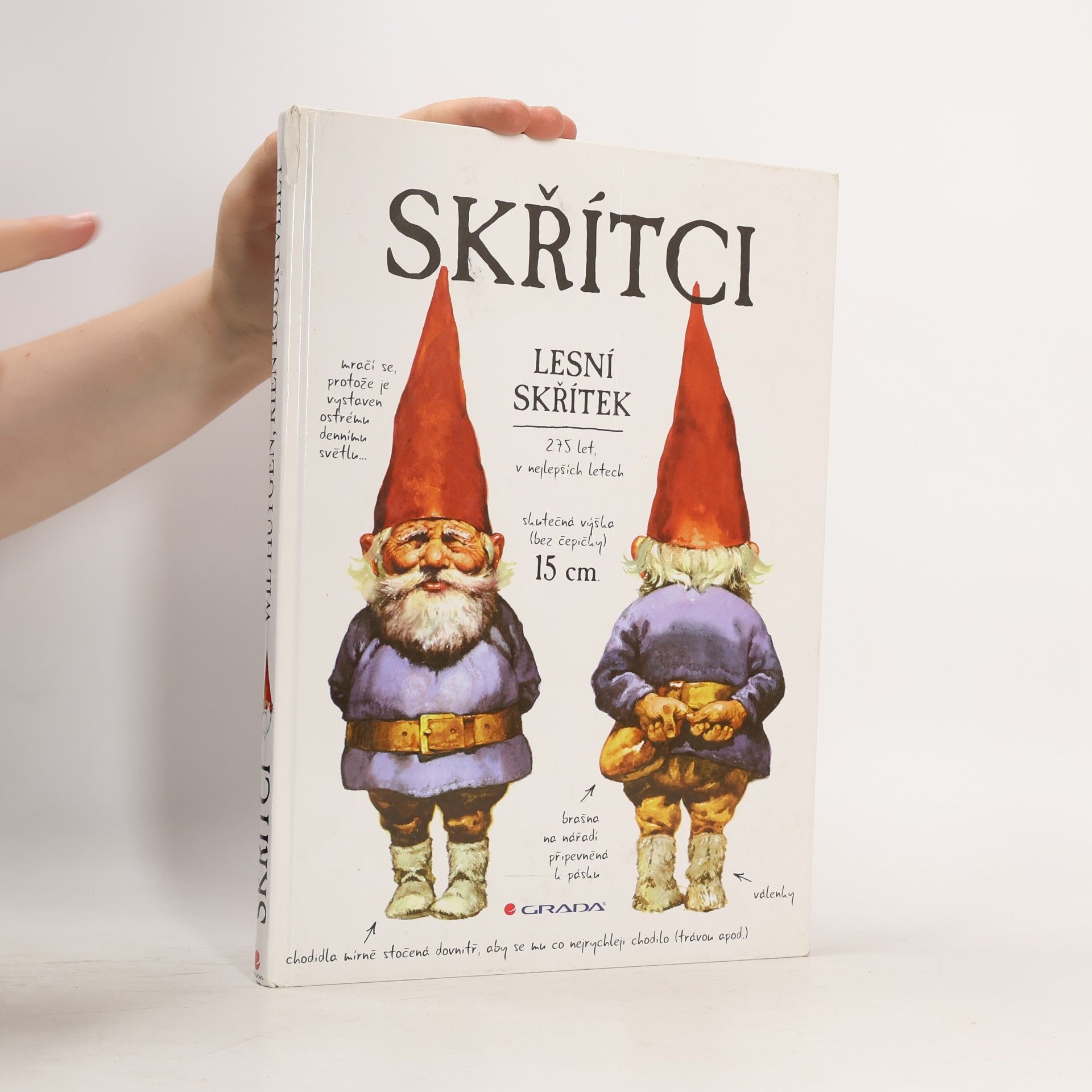 Wil Huygen Skřítci