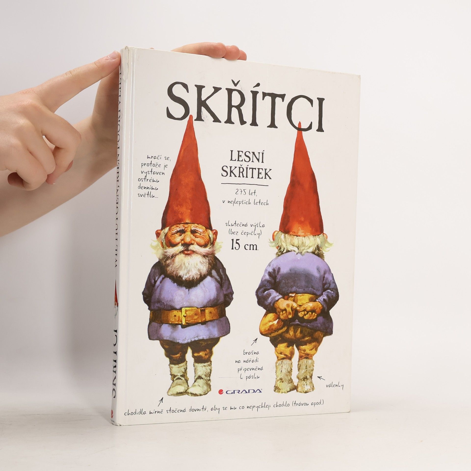Wil Huygen Skřítci