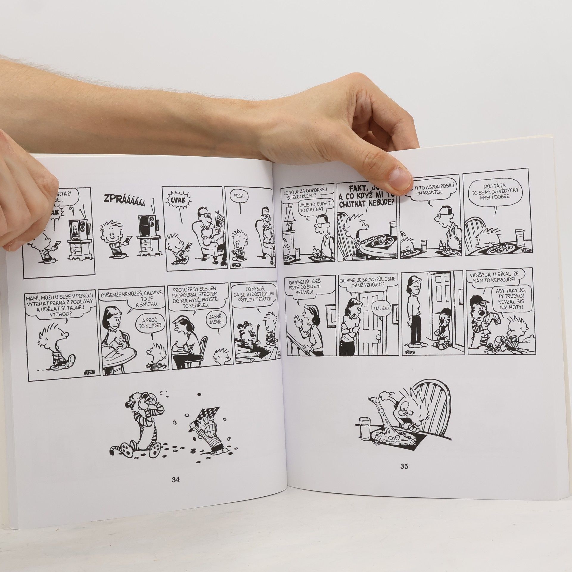 Bill Watterson Calvin a Hobbes