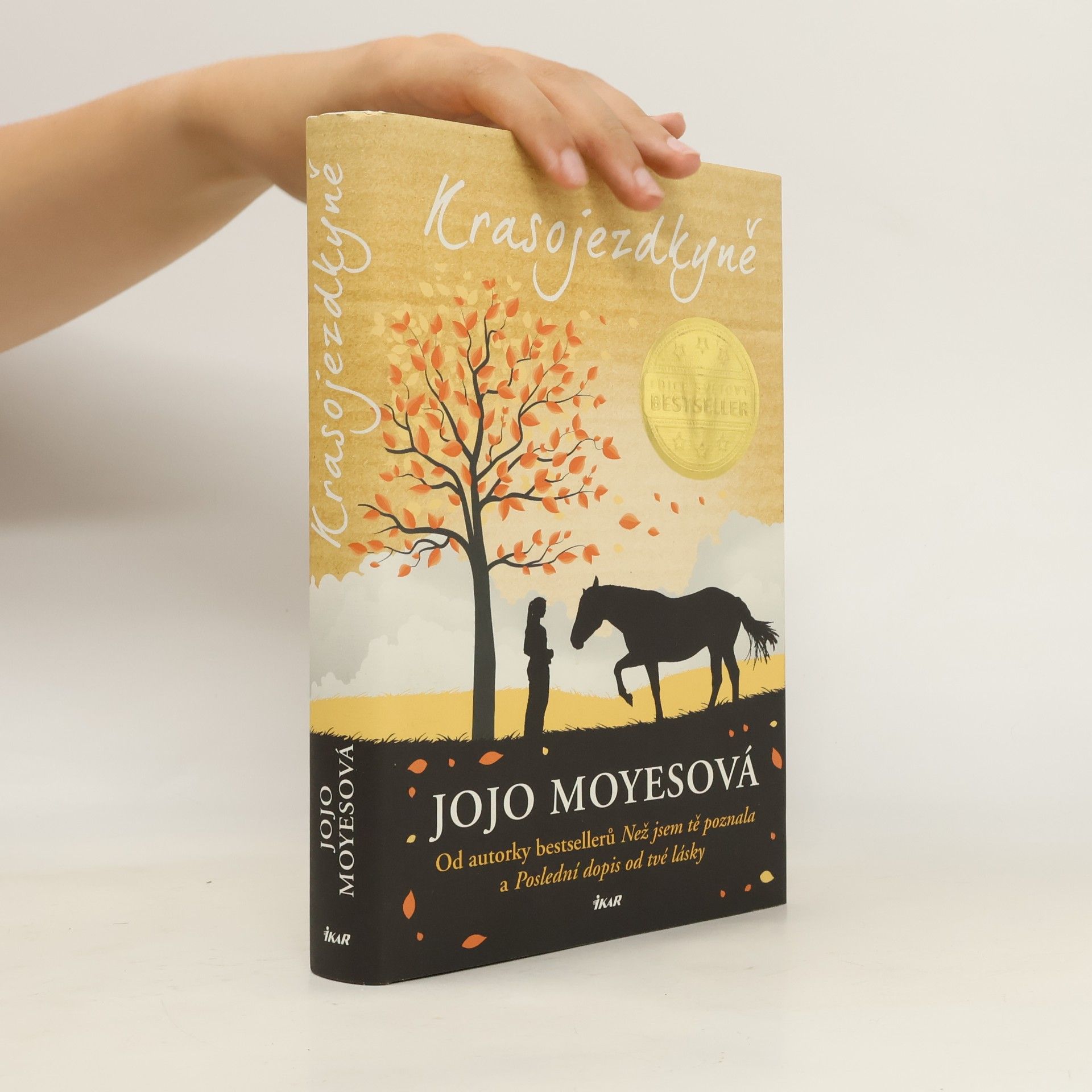 Jojo Moyes Krasojezdkyně