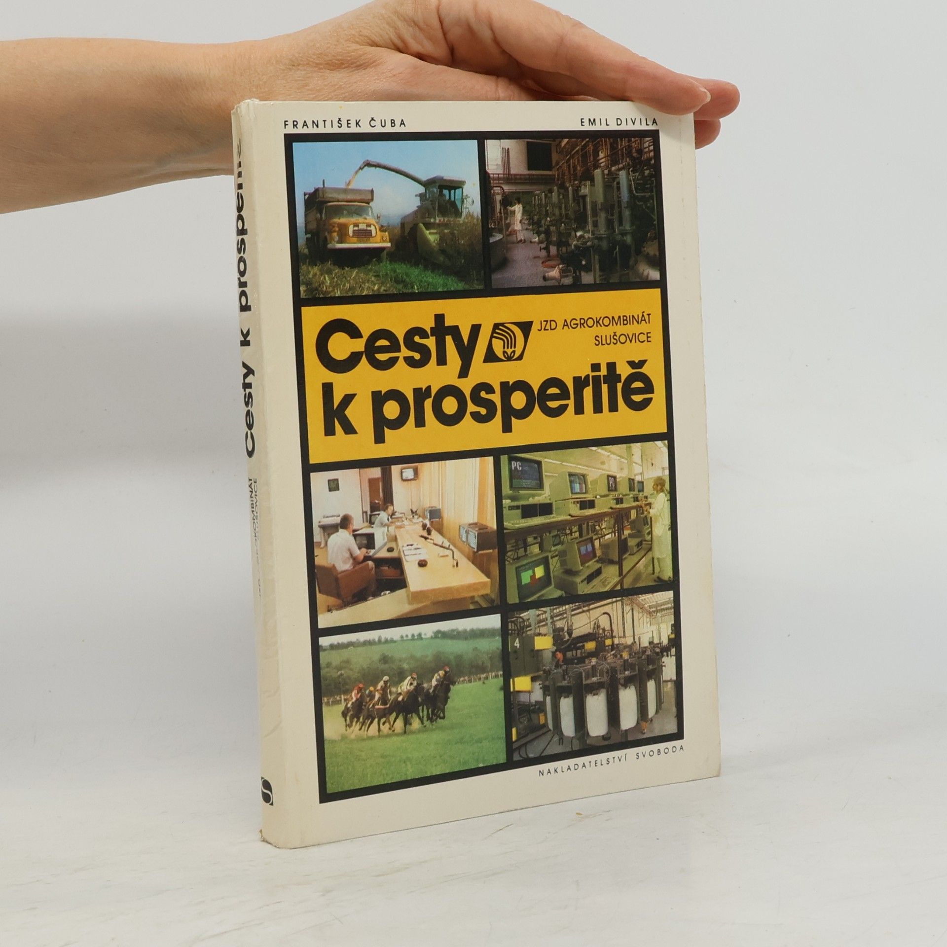 Emil Divila Cesty k prosperitě