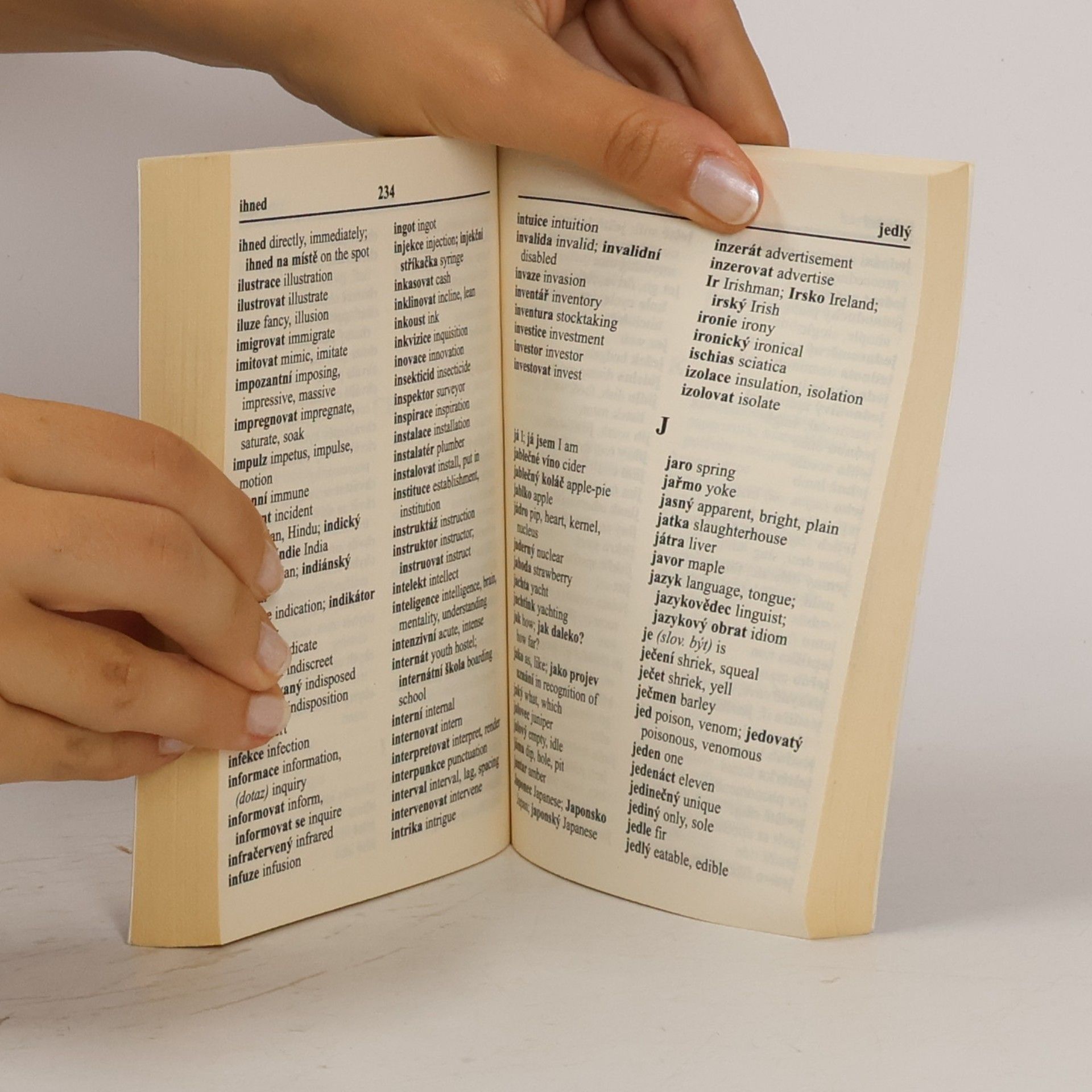 Various authors Anglicko-český, česko-anglický slovník