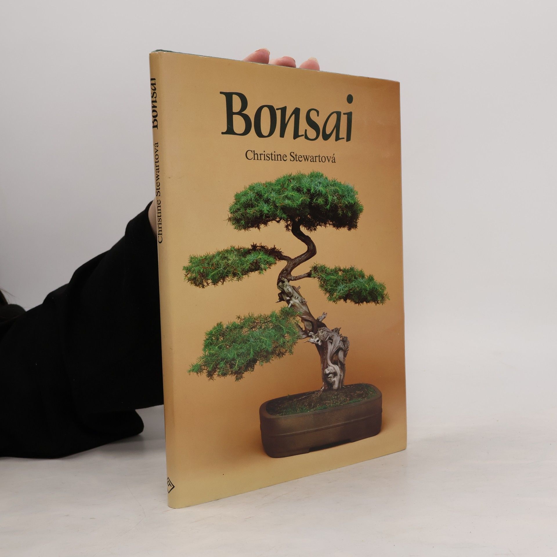 Christine Stewart Bonsai
